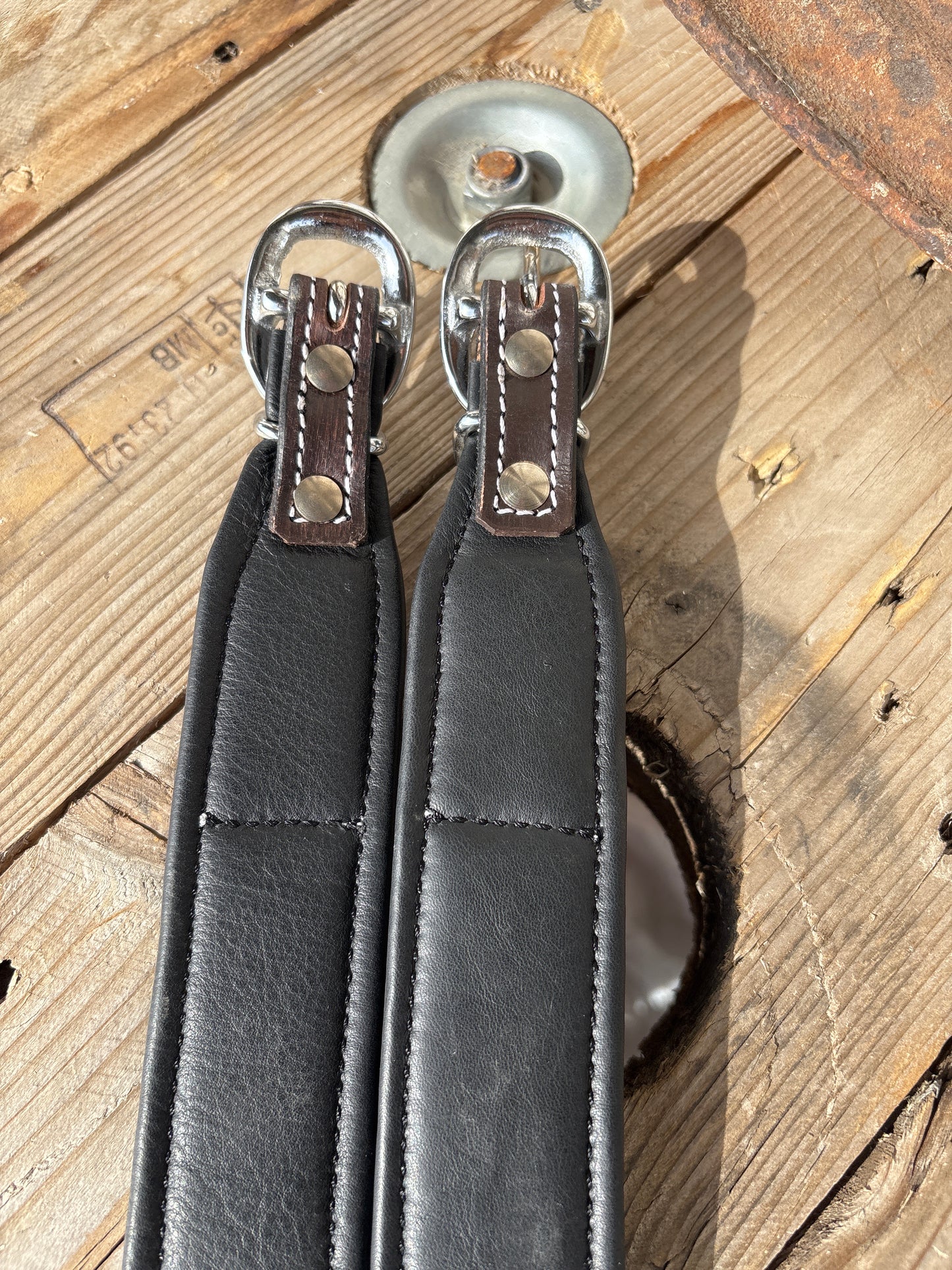 Golden blue Dog Collar