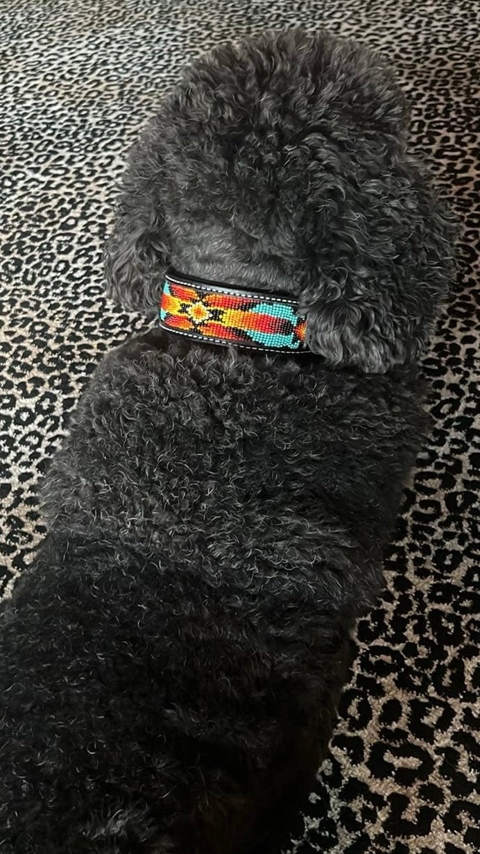 Apache Dog Collar (S)