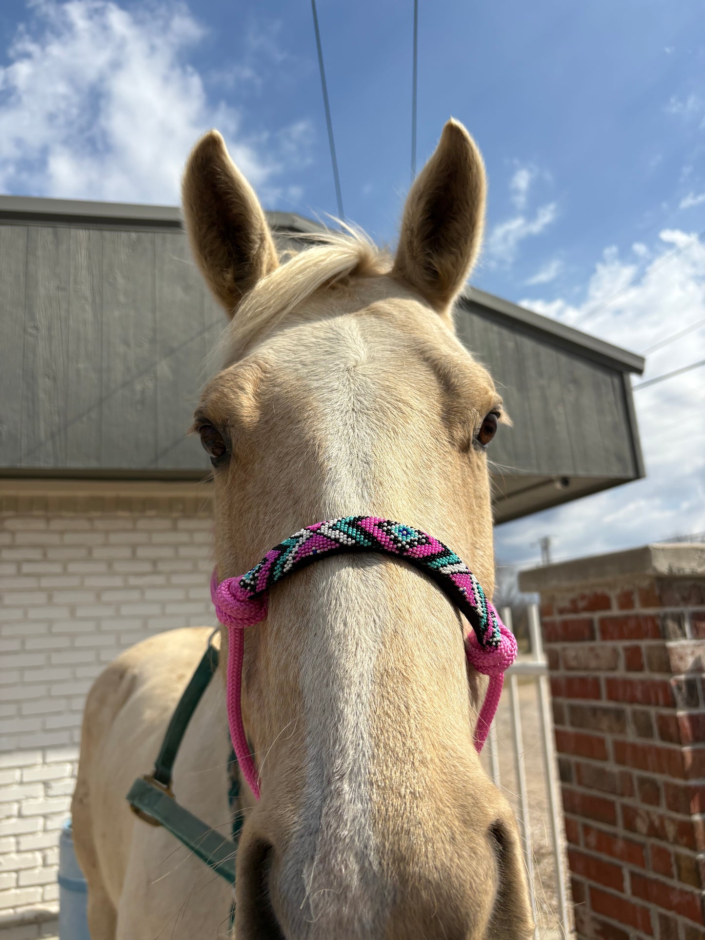 Bead Rope Halter