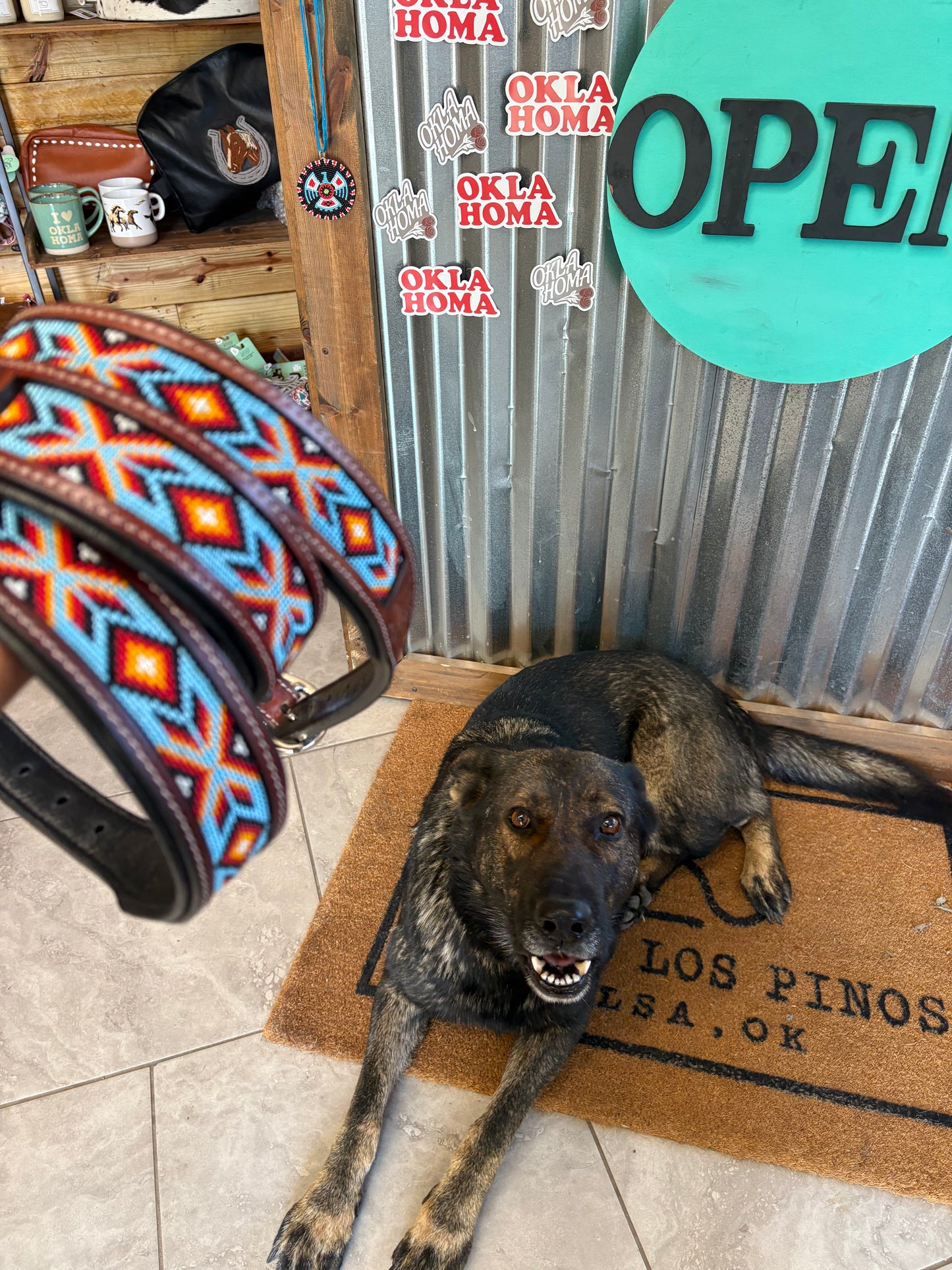 Milo Dog Collar