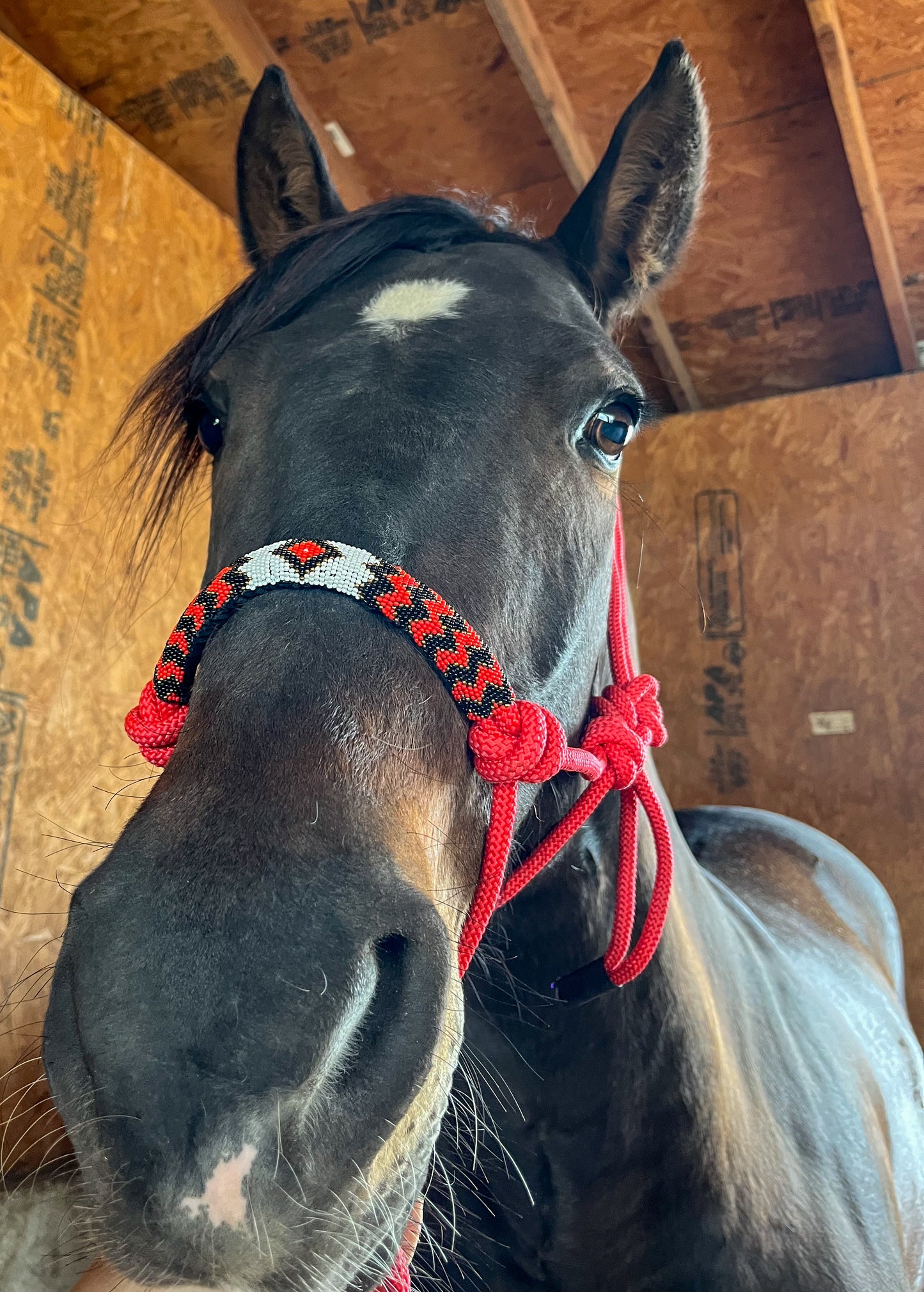 Red Beaded Rope Halter