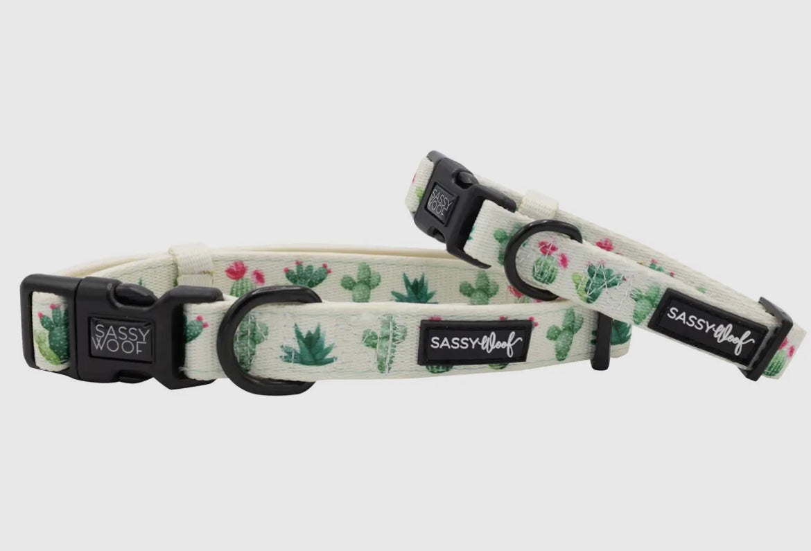 Cactus Floral Dog Collar