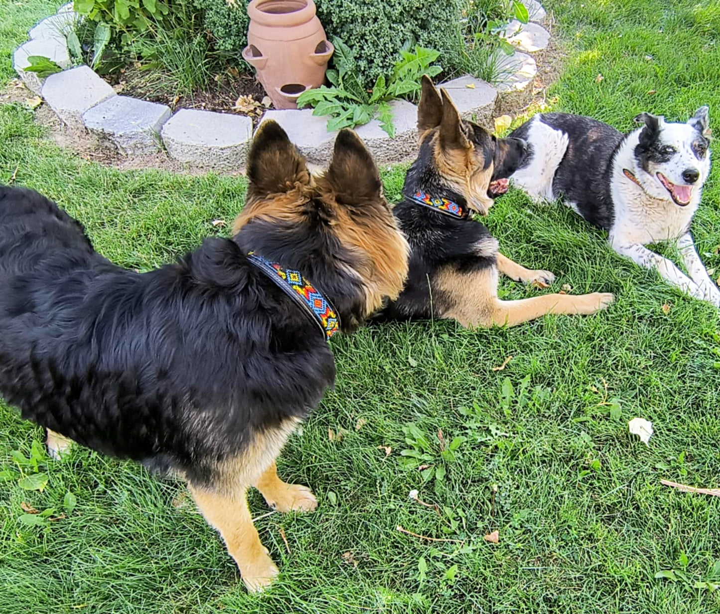 Apache Beaded Dog Collar