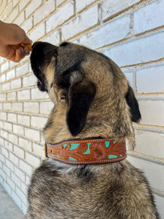 Turquoise Tooled Leather Dog Collar