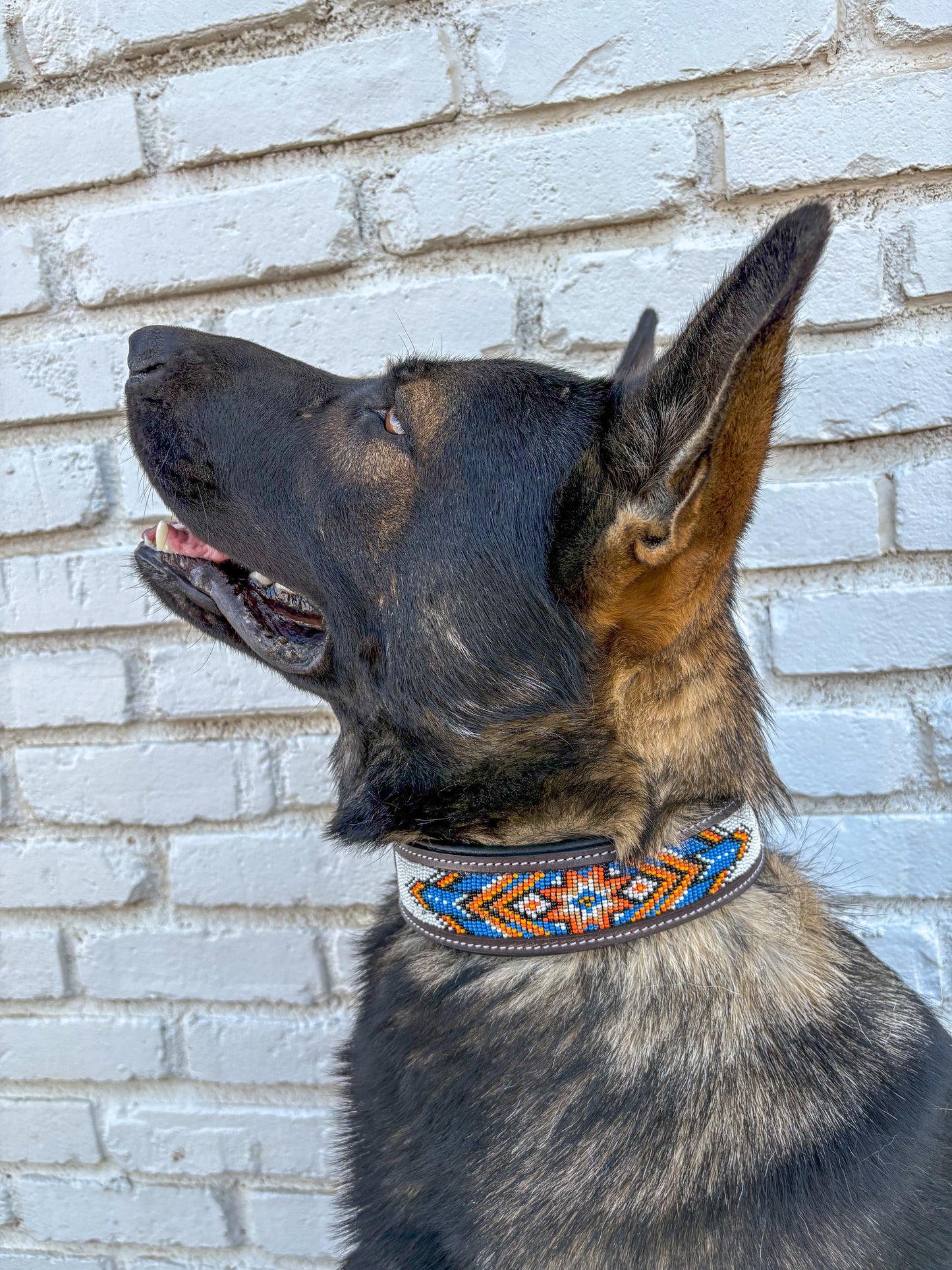 Orange Crush Beaded Dog Collar