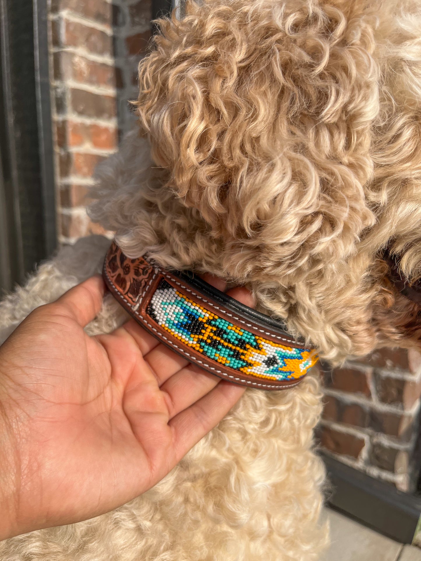 Yellow Jacket Beaded Dog collar