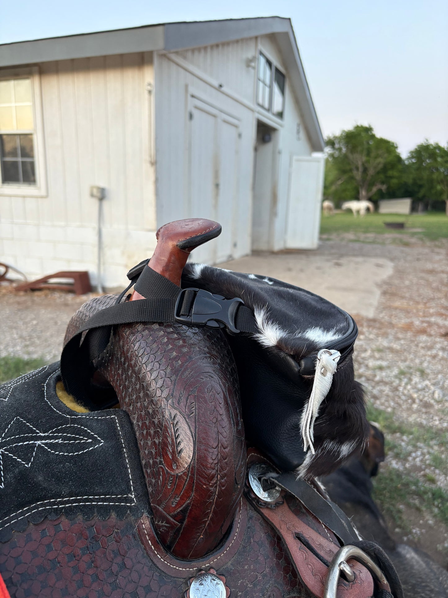 RLP Cowhide Saddle Sack- black (8)