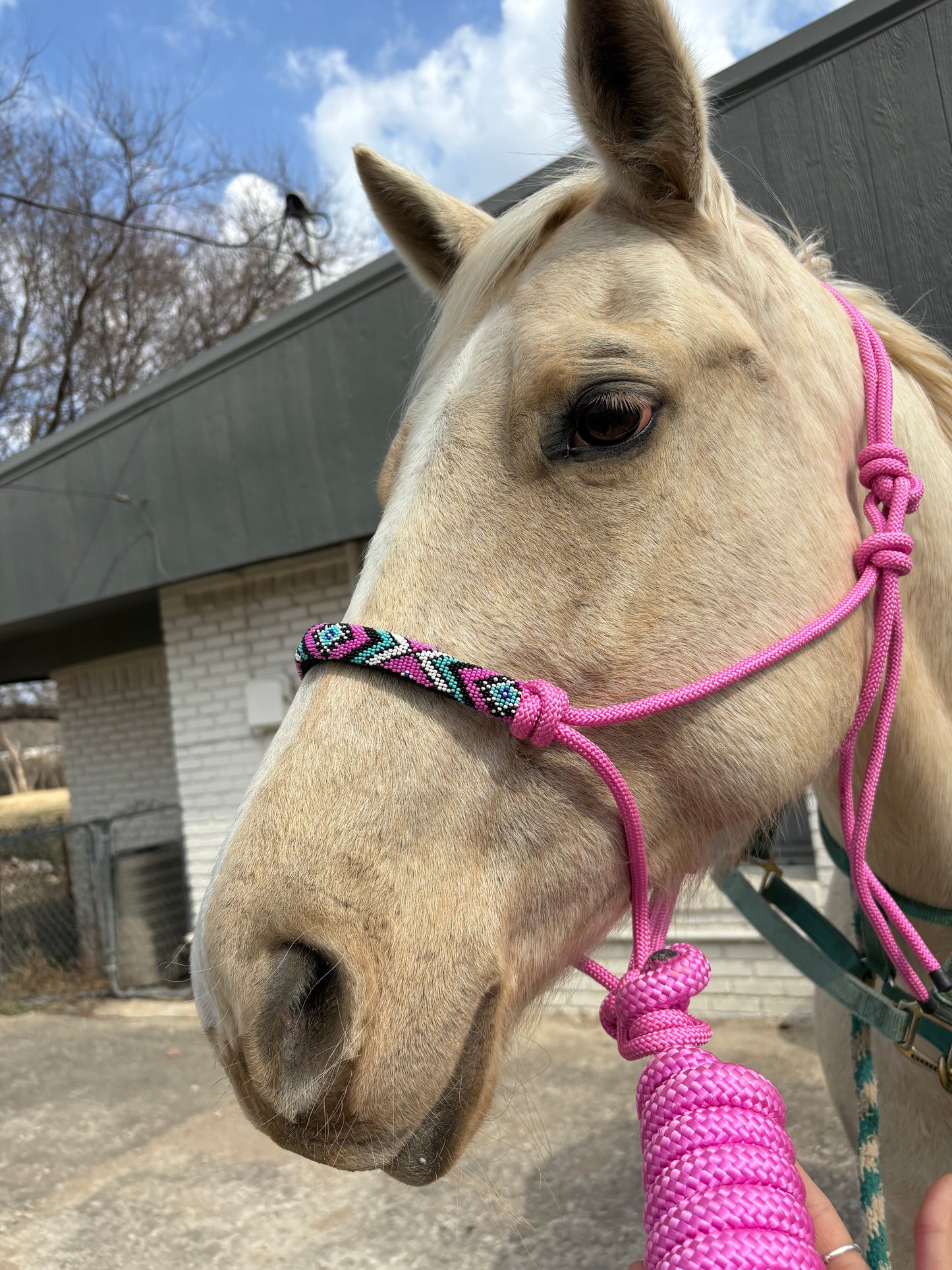 Bead Rope Halter
