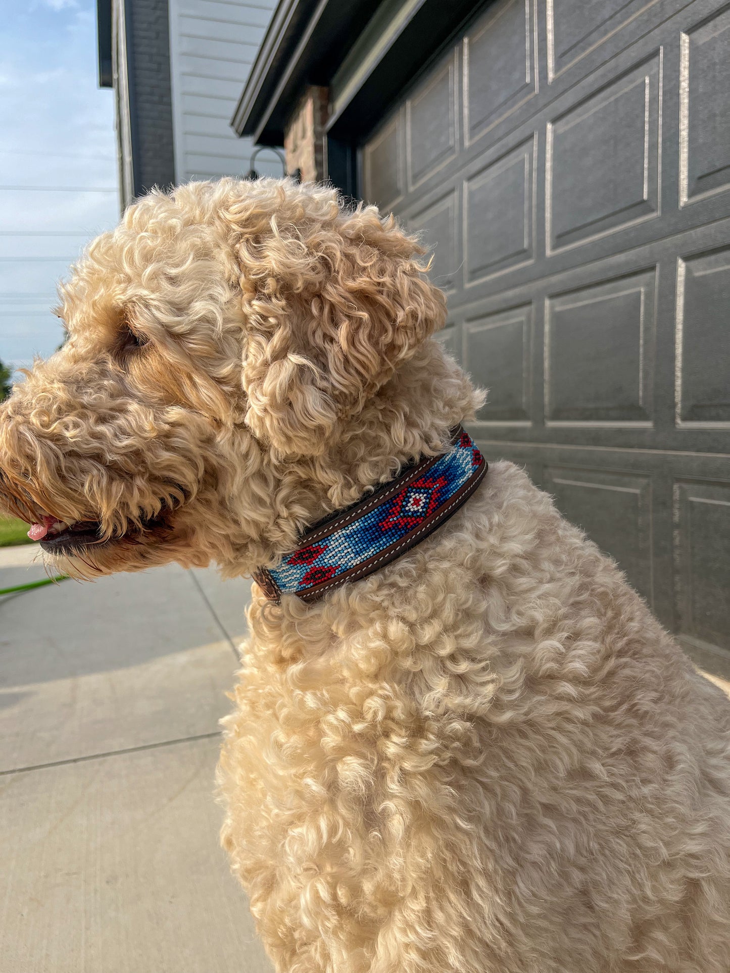 Captain America Beaded Dog Collar