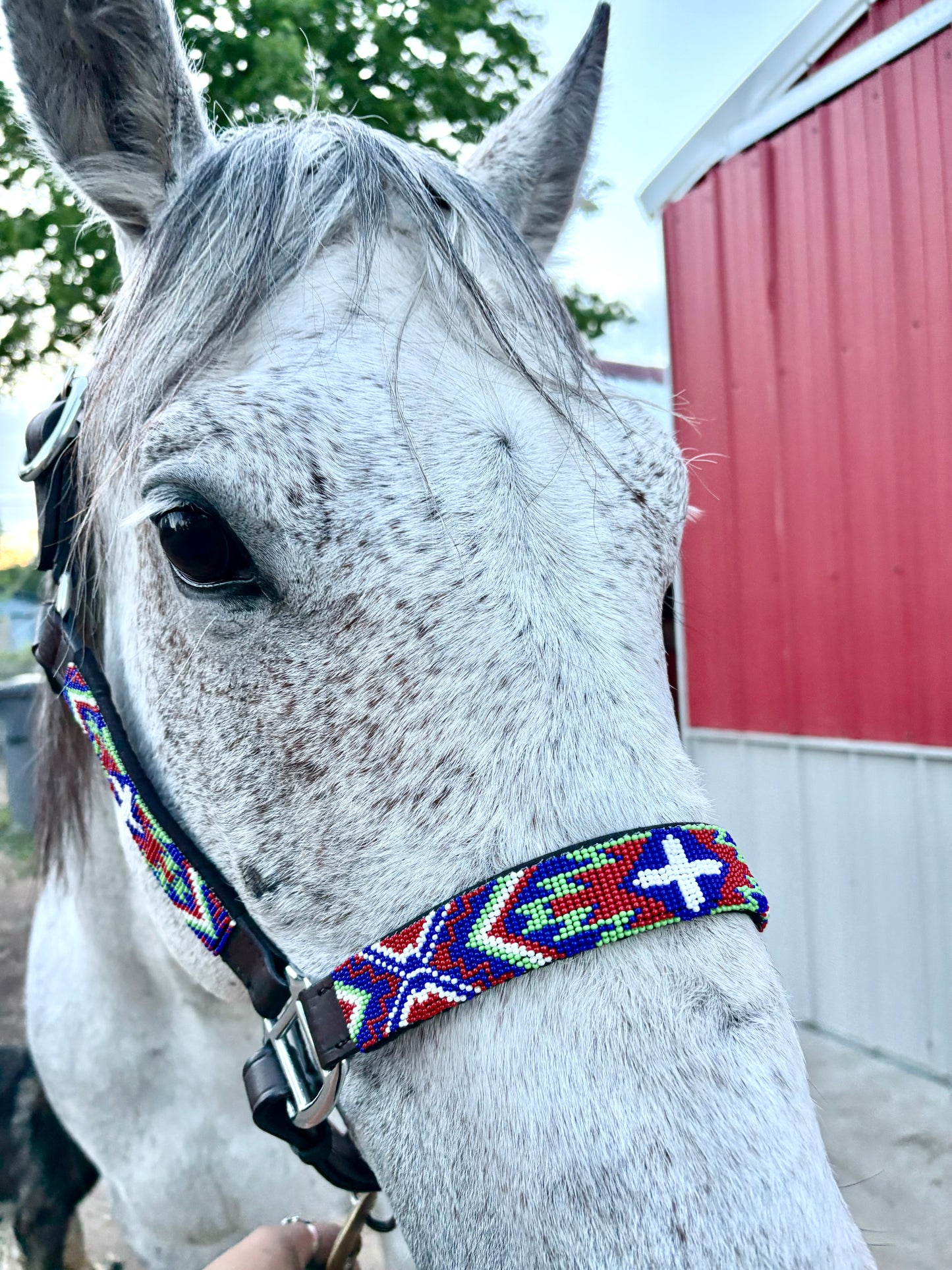 Beaded Leather Halter