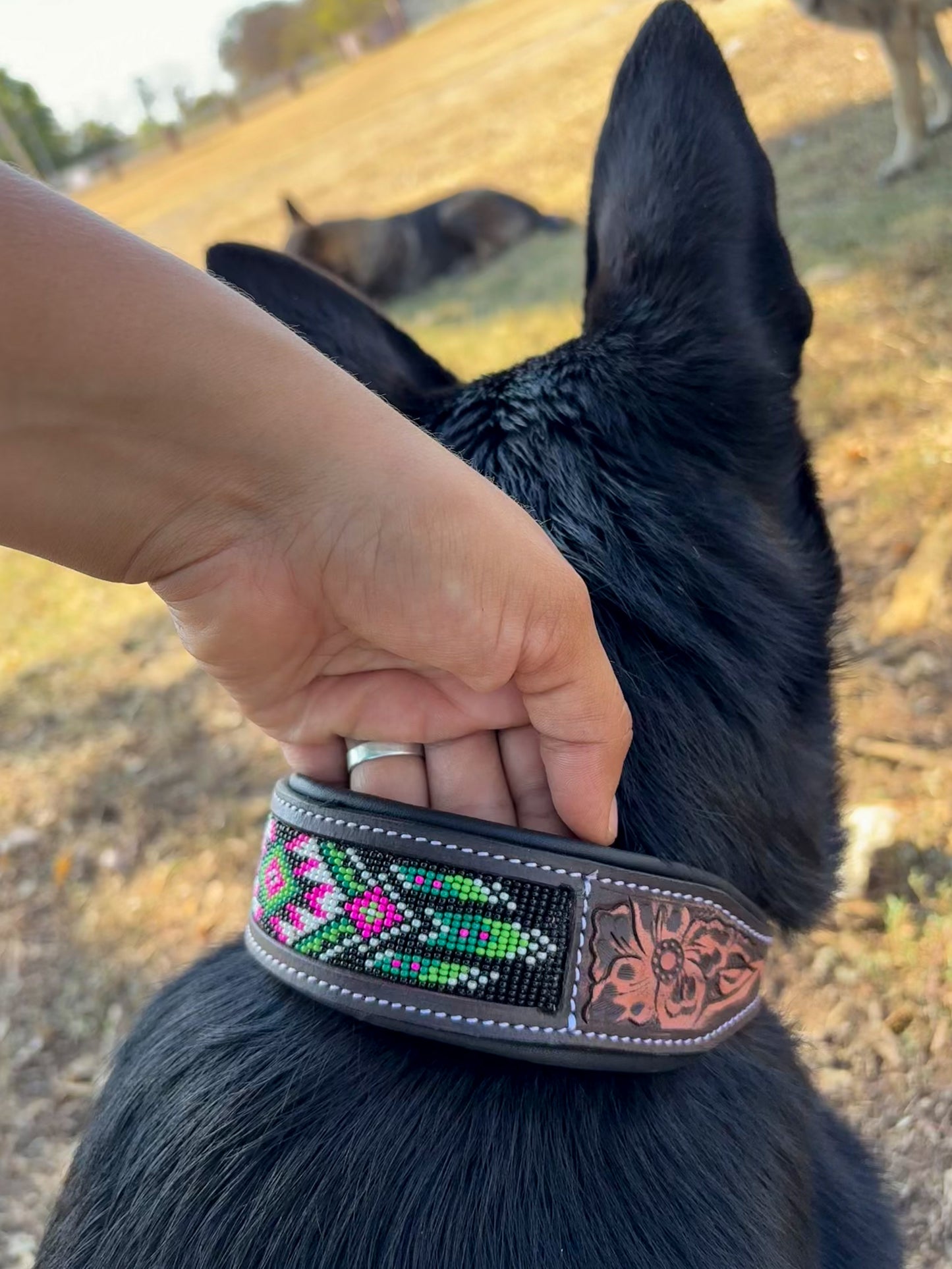 Watermelon Sugar Beaded Dog Collar