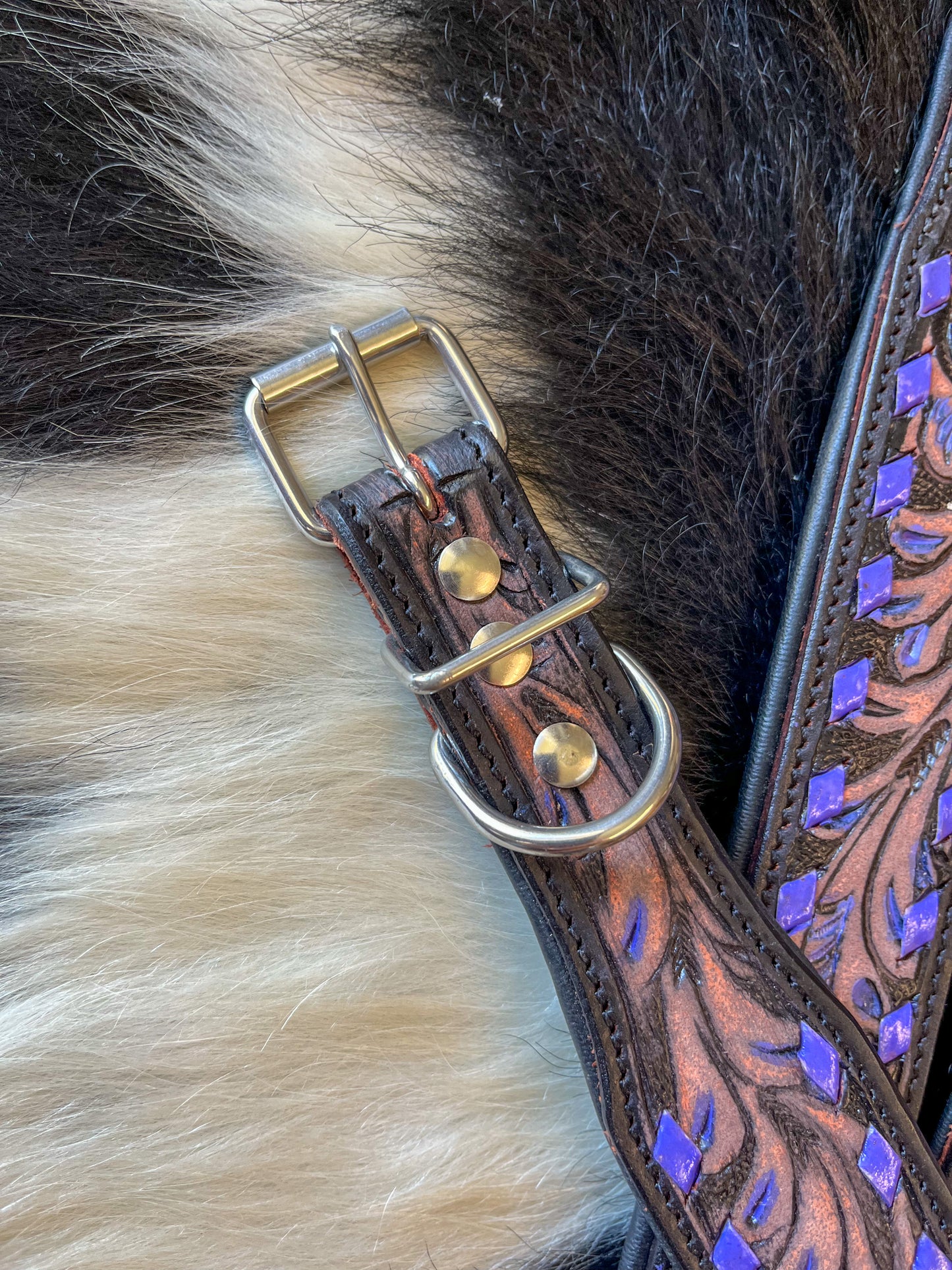 Purple Lace Tooled Leather Dog Collar