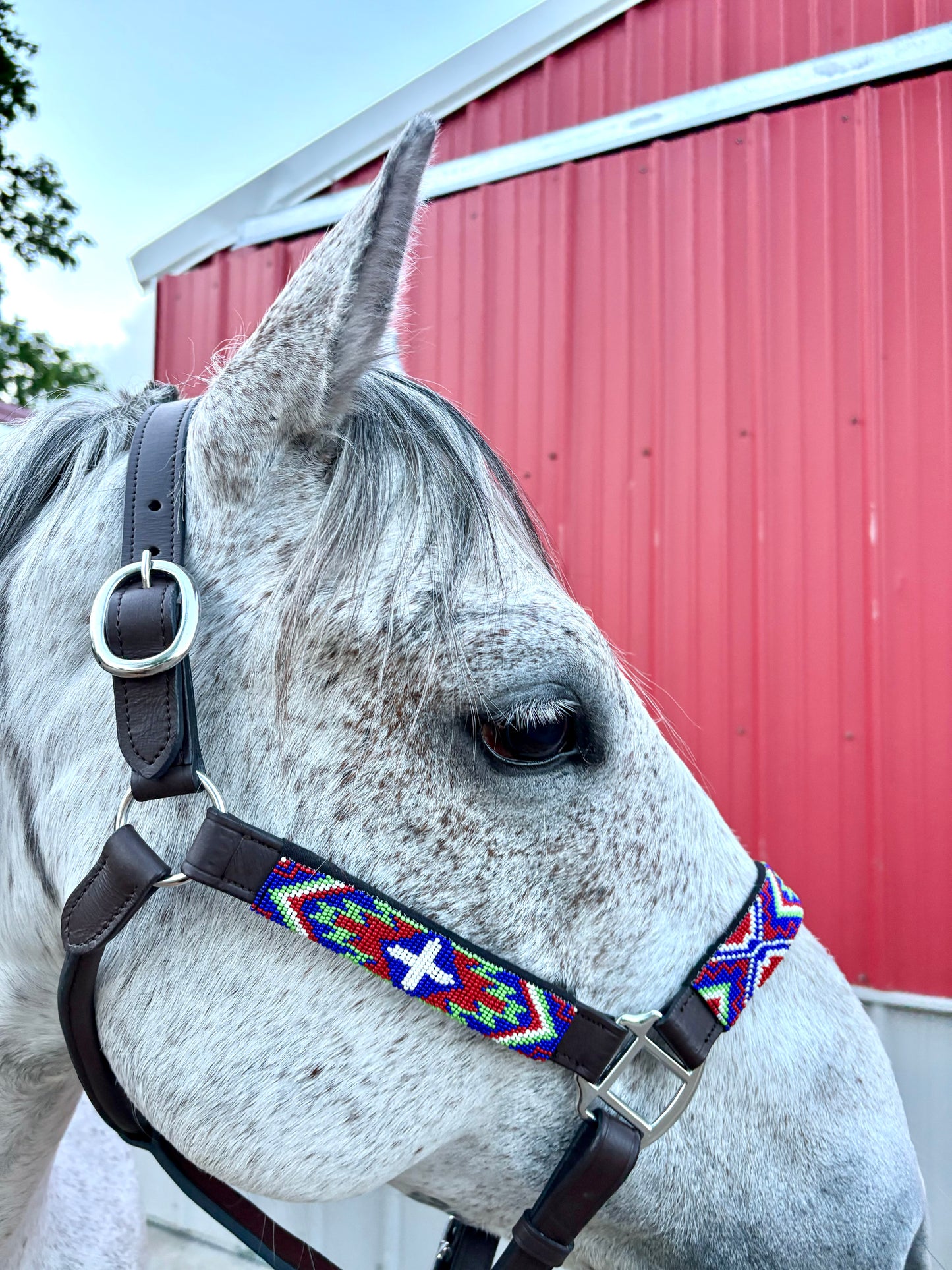 Beaded Leather Halter