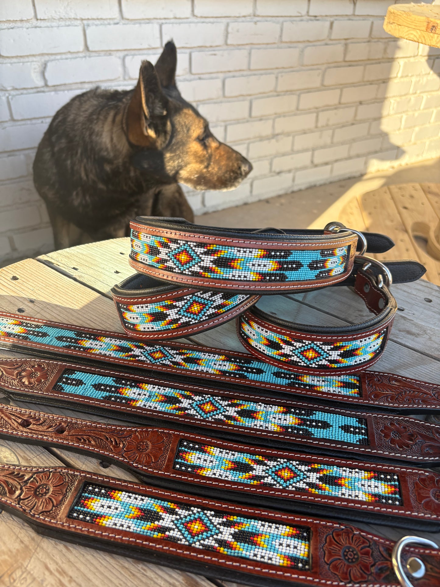 Bruno Dog Collar