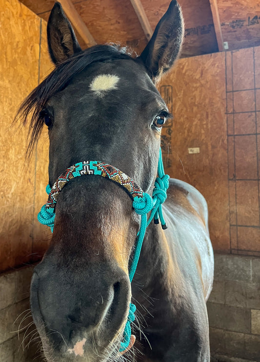 Turquoise Beaded Rope Halter