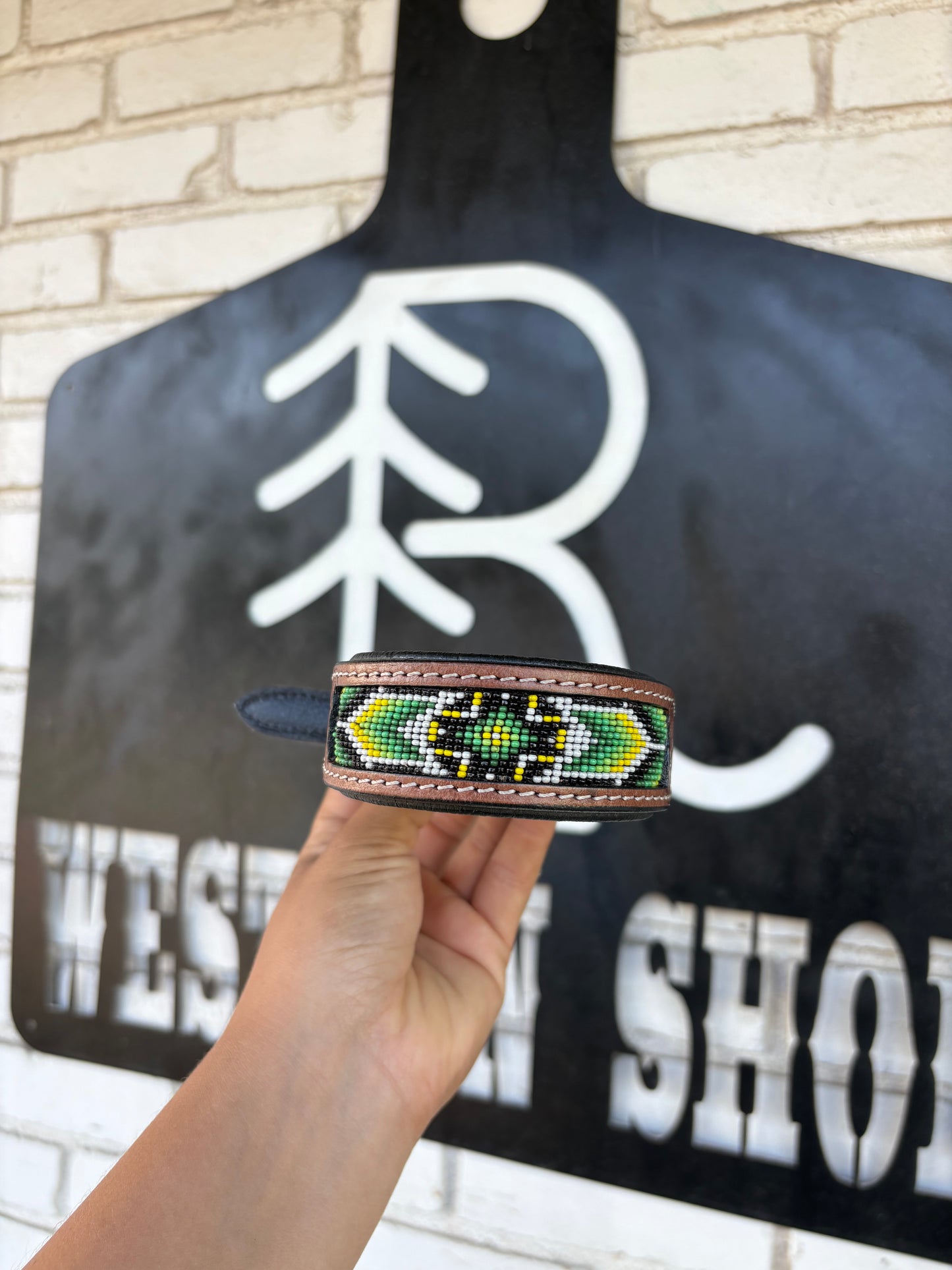 Hulk Dog Collar- Small