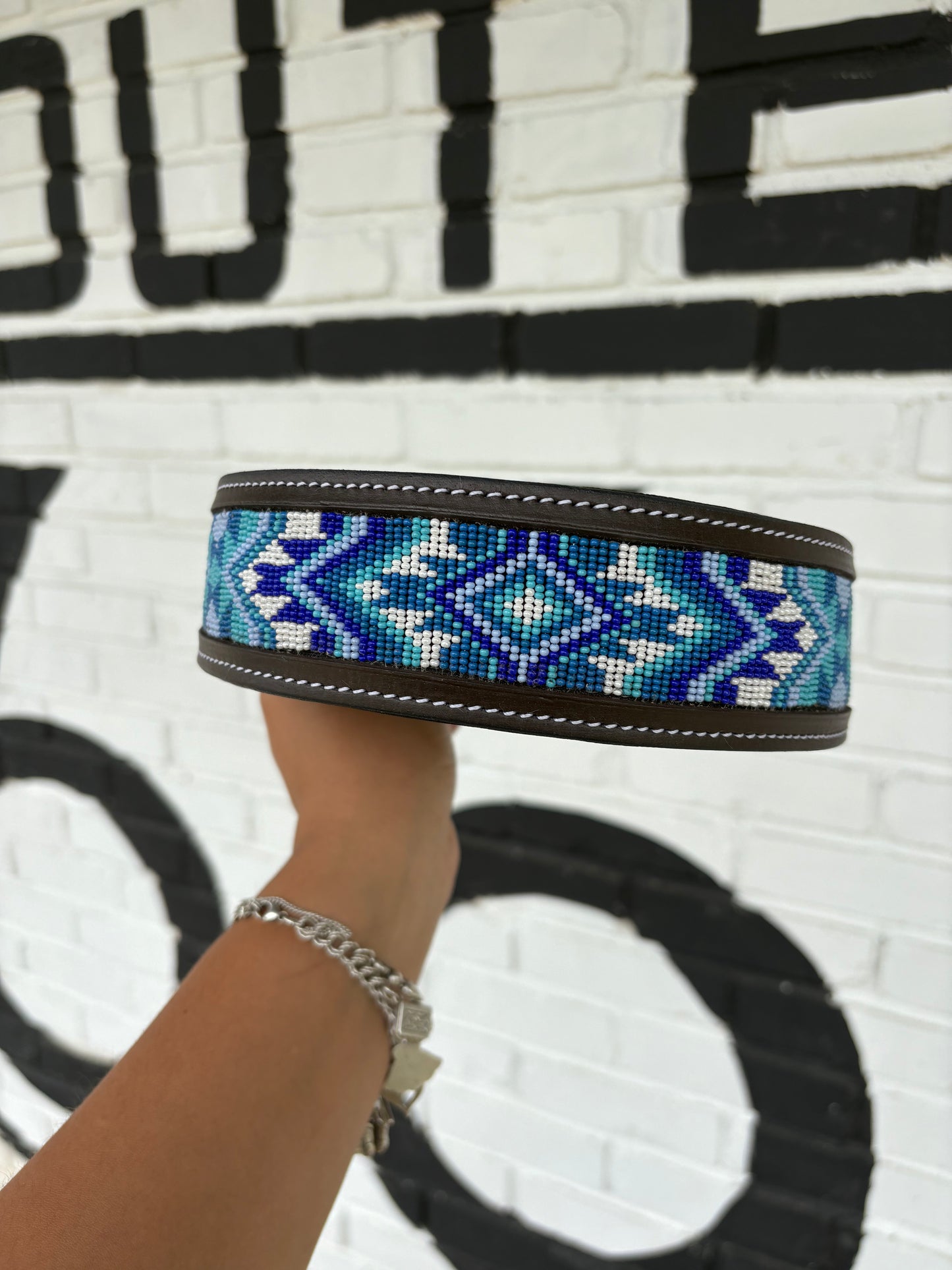 Blake Dog Collar- (M, XL)