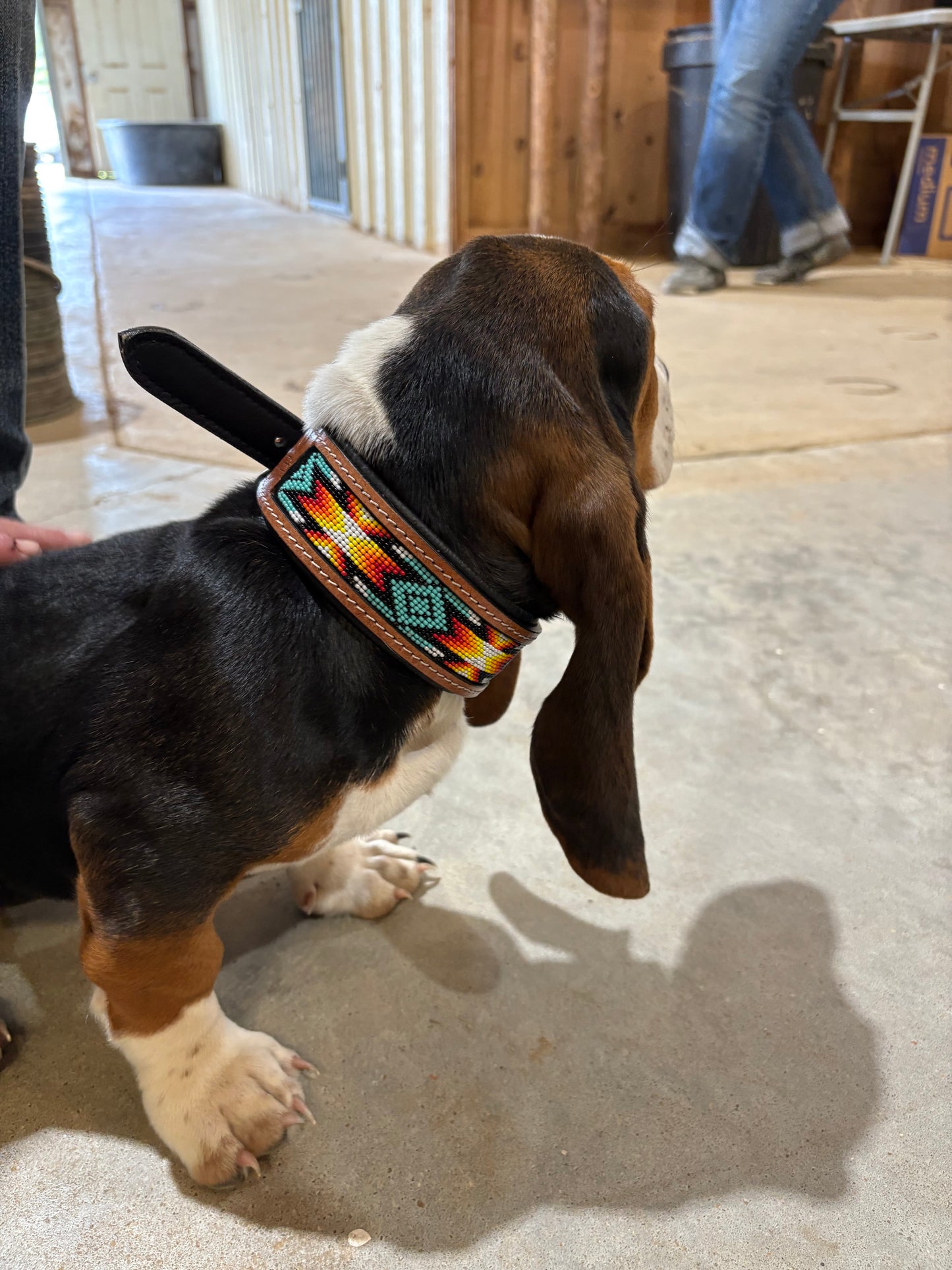 Turquoise Agave Dog Collar- Medium