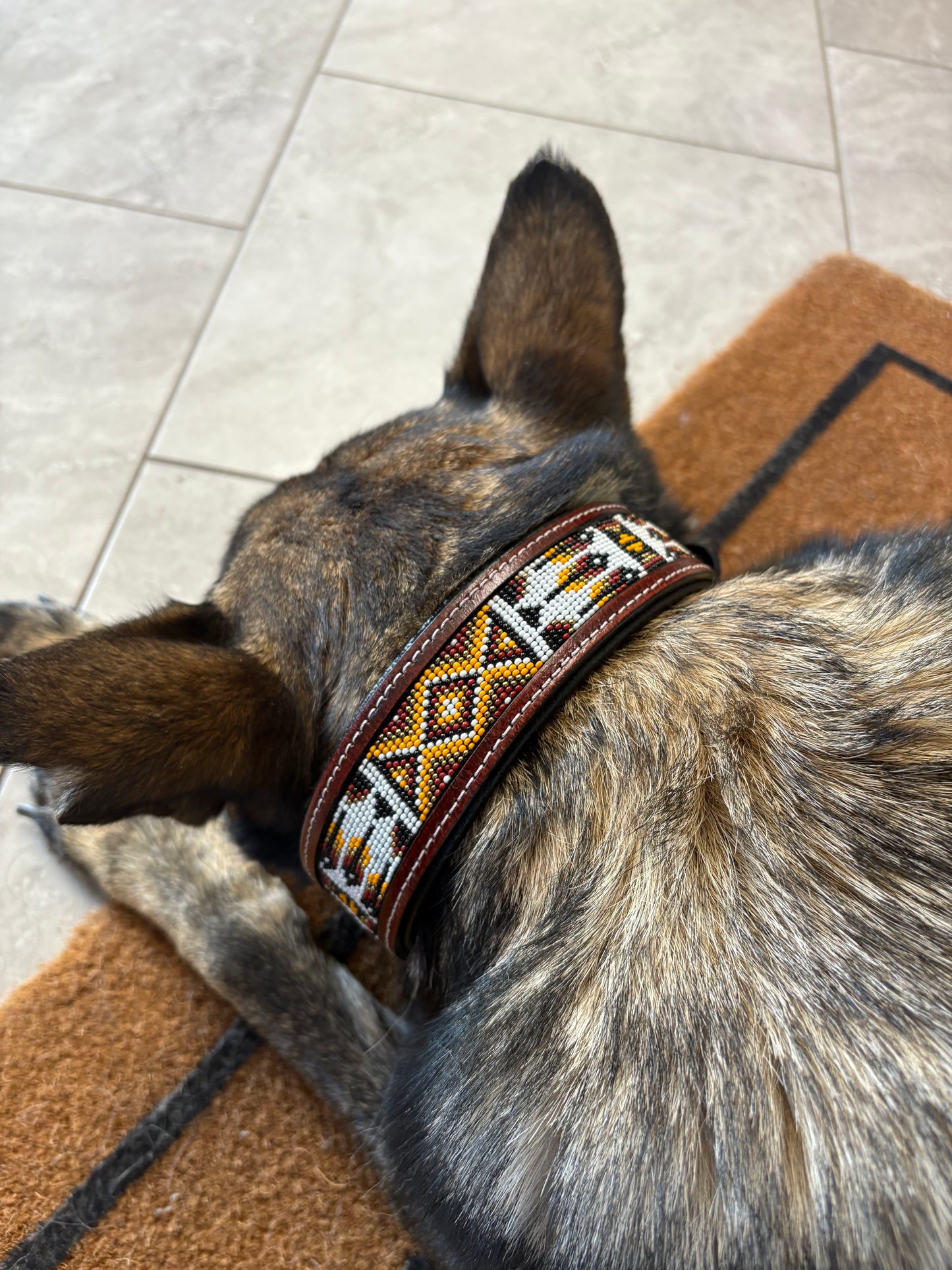 Bear Dog Collar