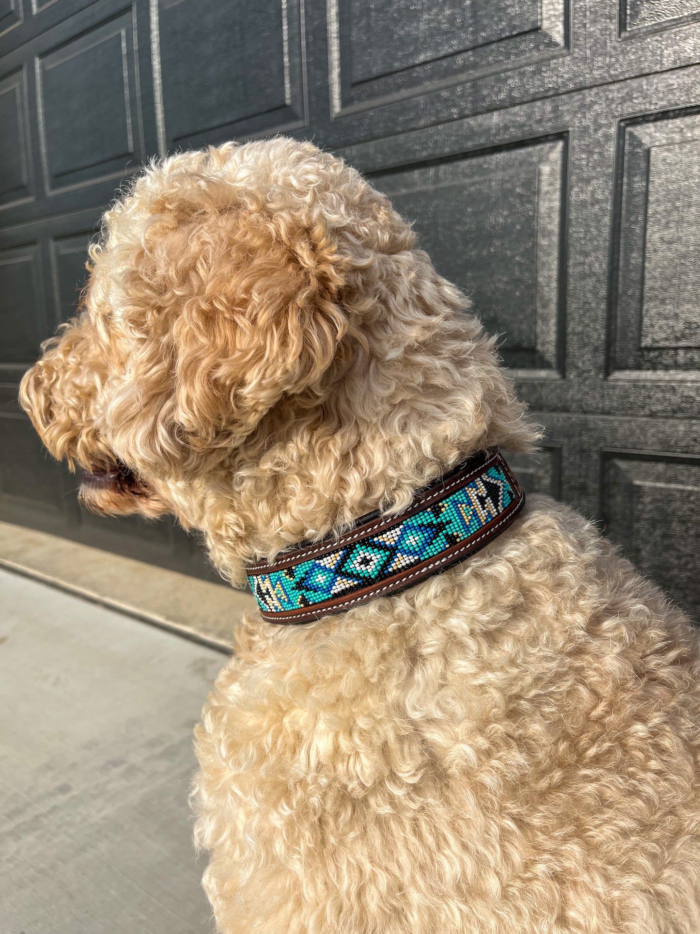 Aqua Beaded Dog Collar