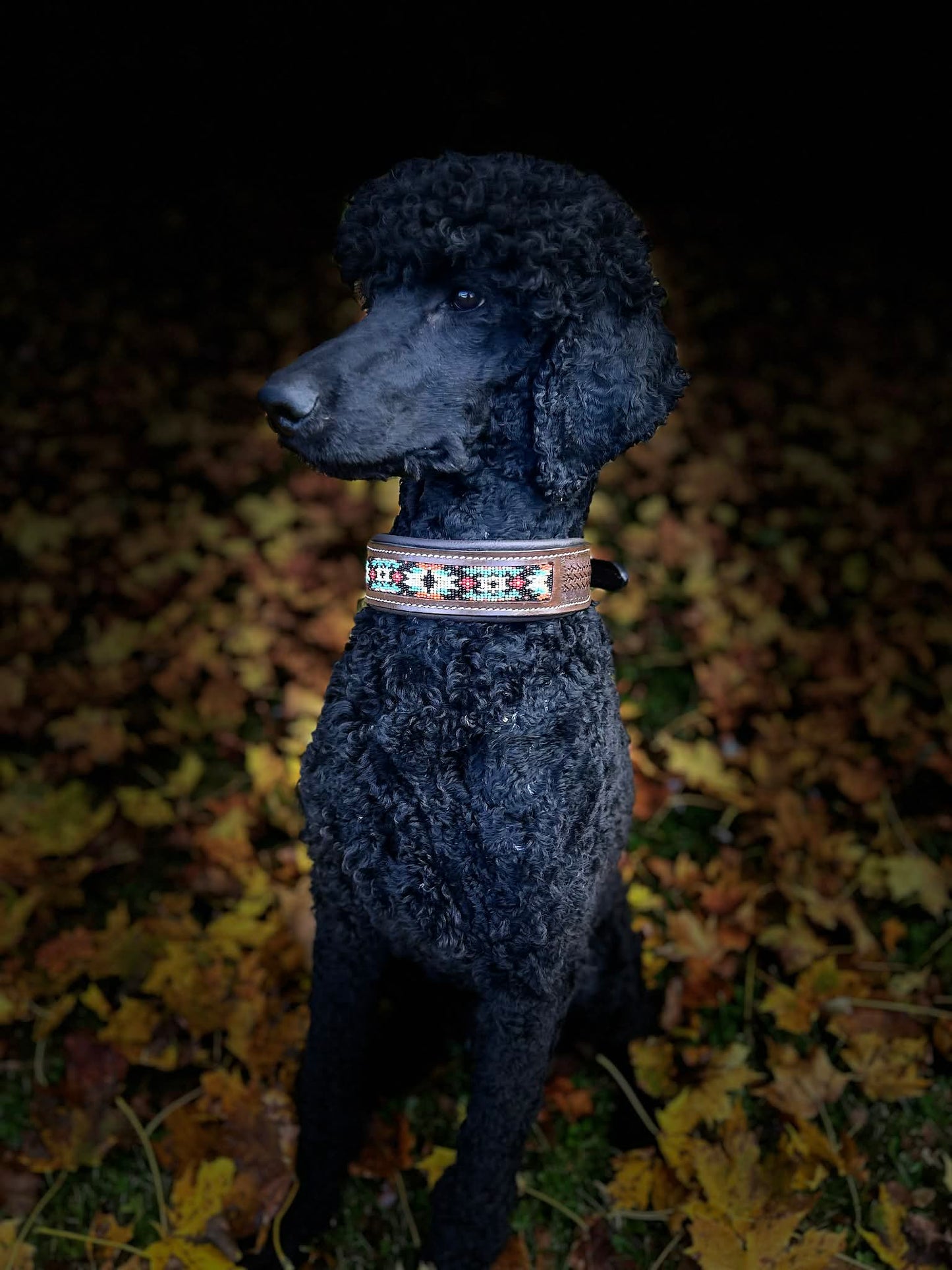 Okemah Dog Collar