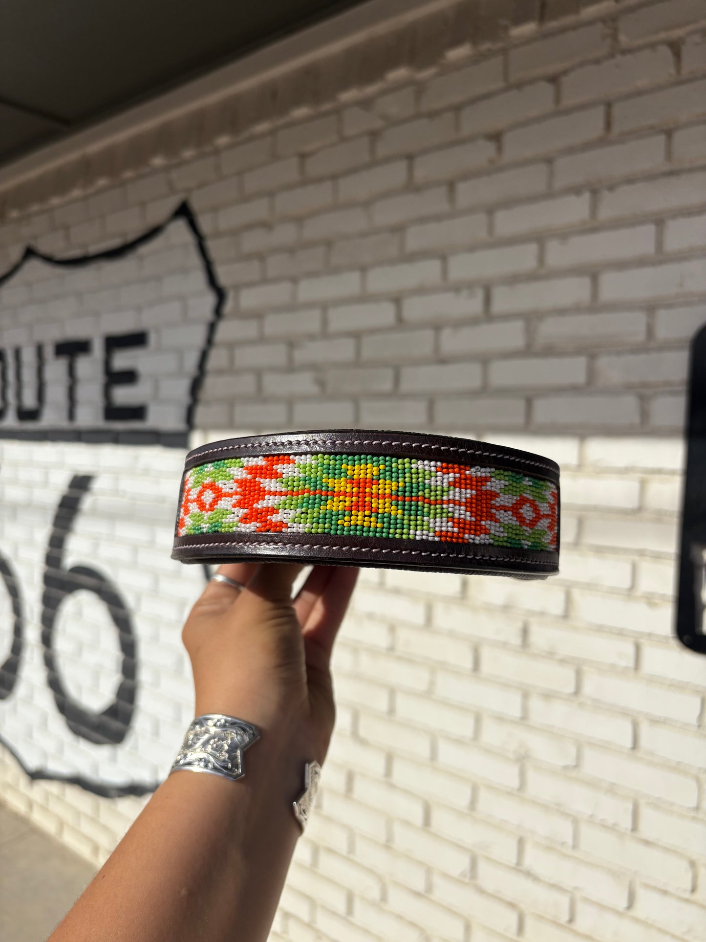 Sequoyah Dog Collar