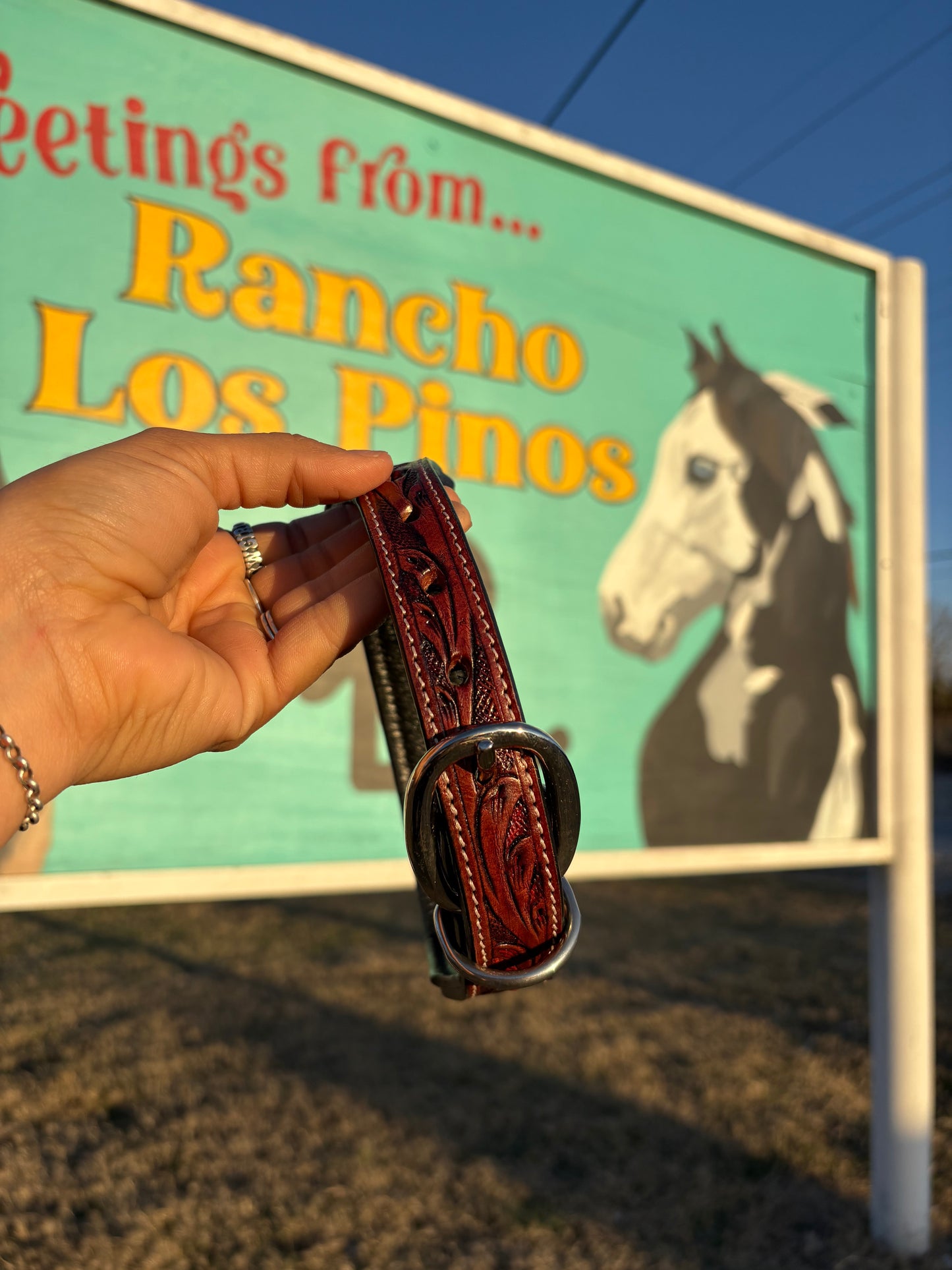 Peyton Dog Collar