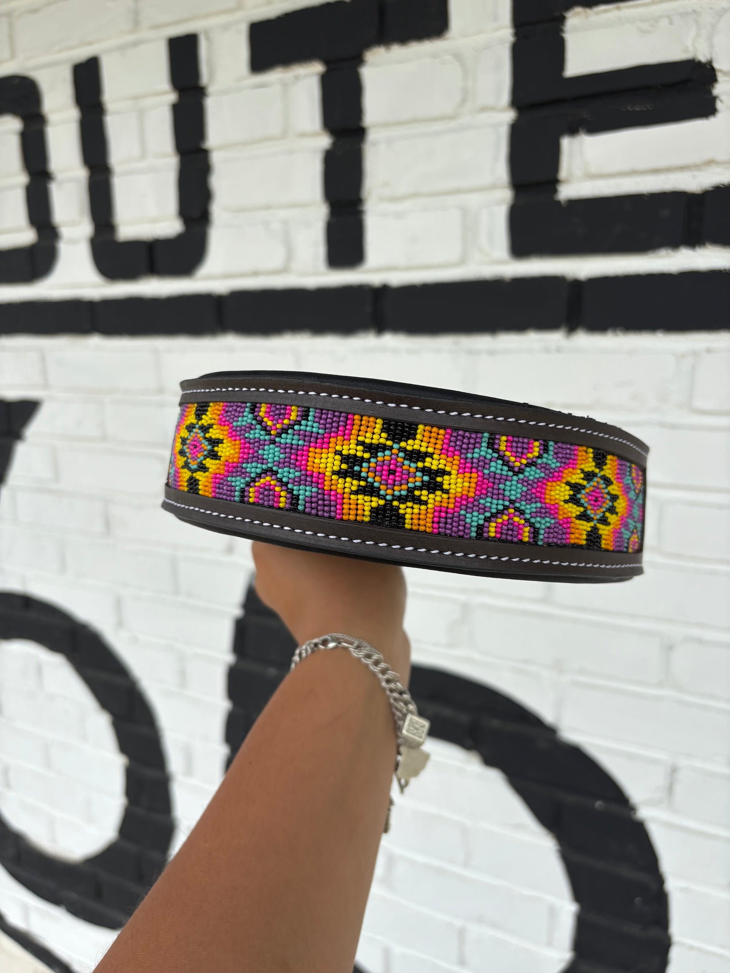 Miranda Dog Collar (M, XL)