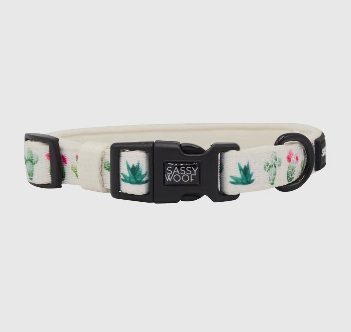 Cactus Floral Dog Collar