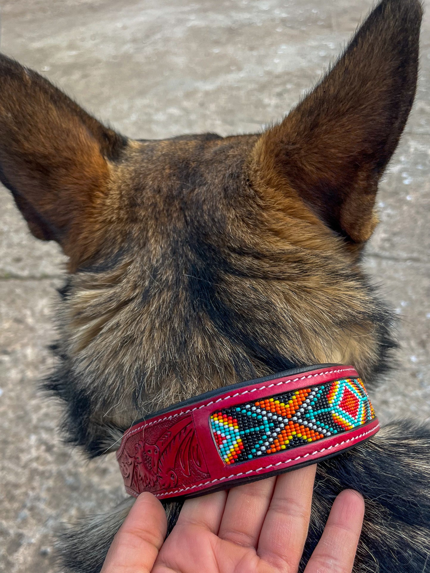 Diablo Padded Beaded Collar