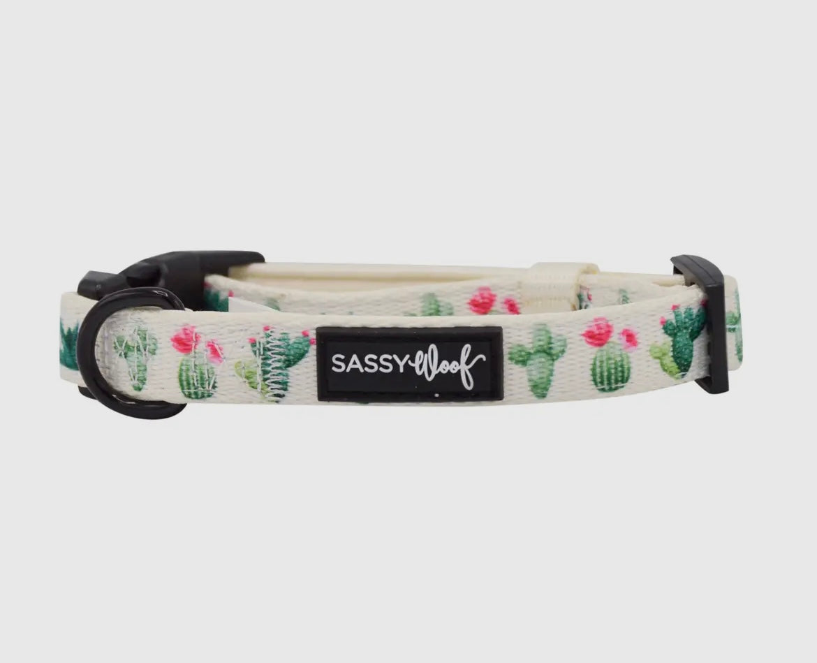 Cactus Floral Dog Collar