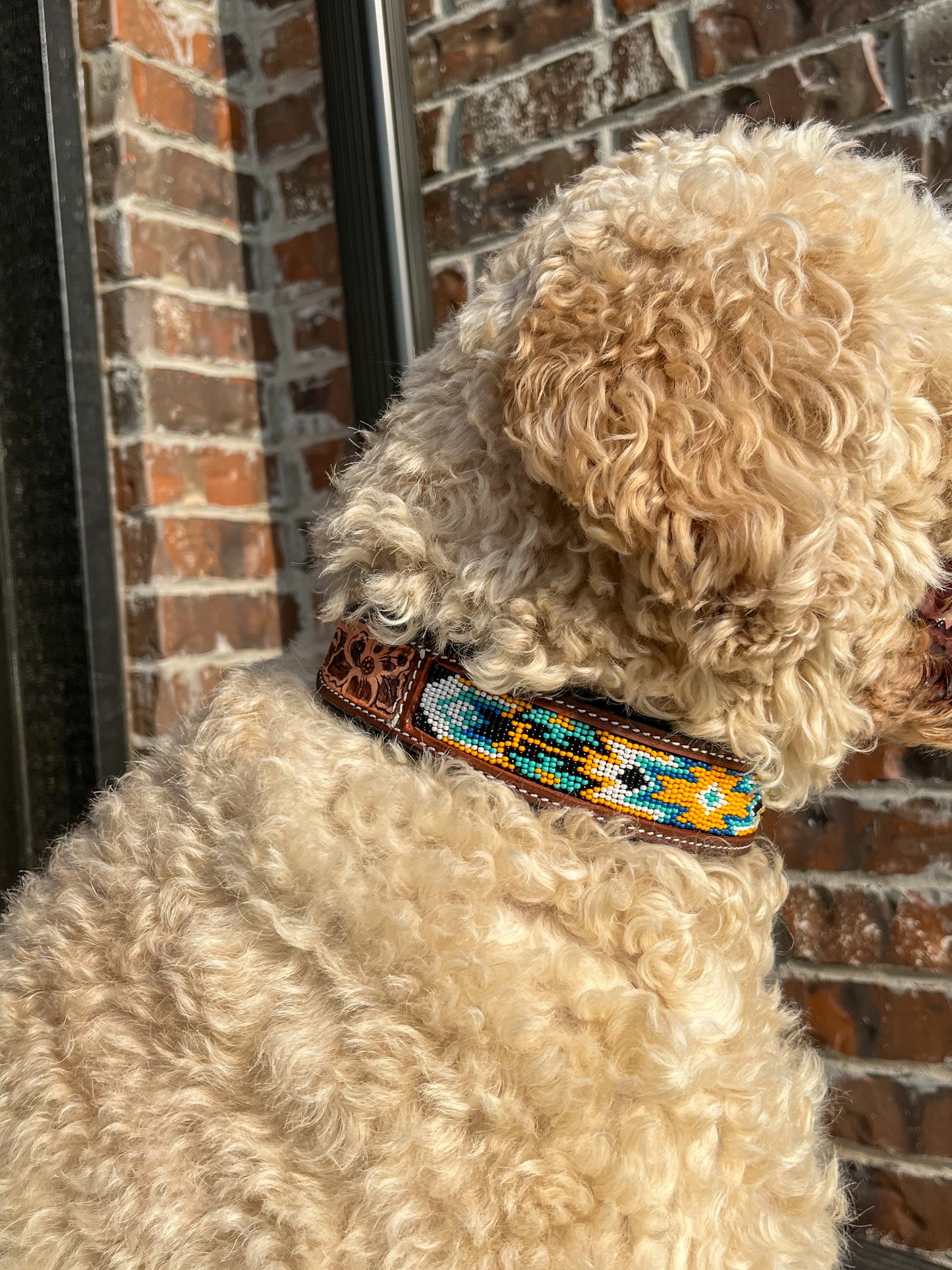 Yellow Jacket Beaded Dog collar