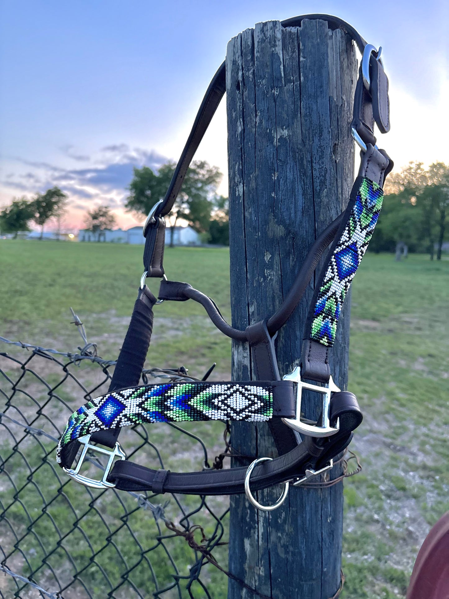 Duke Beaded Leather Halter