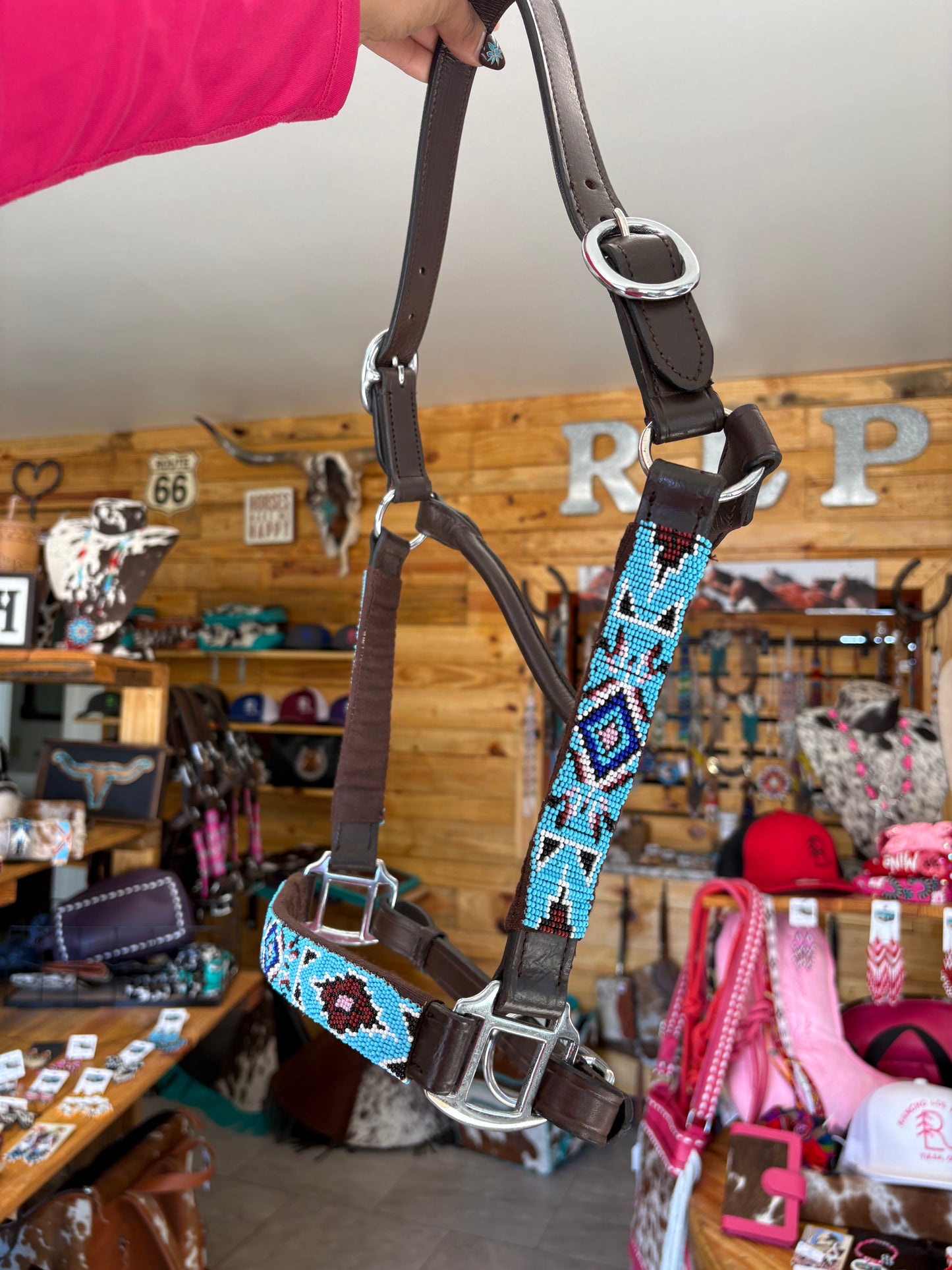 Dream Bead Halter