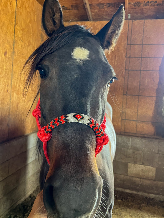 Red Beaded Rope Halter