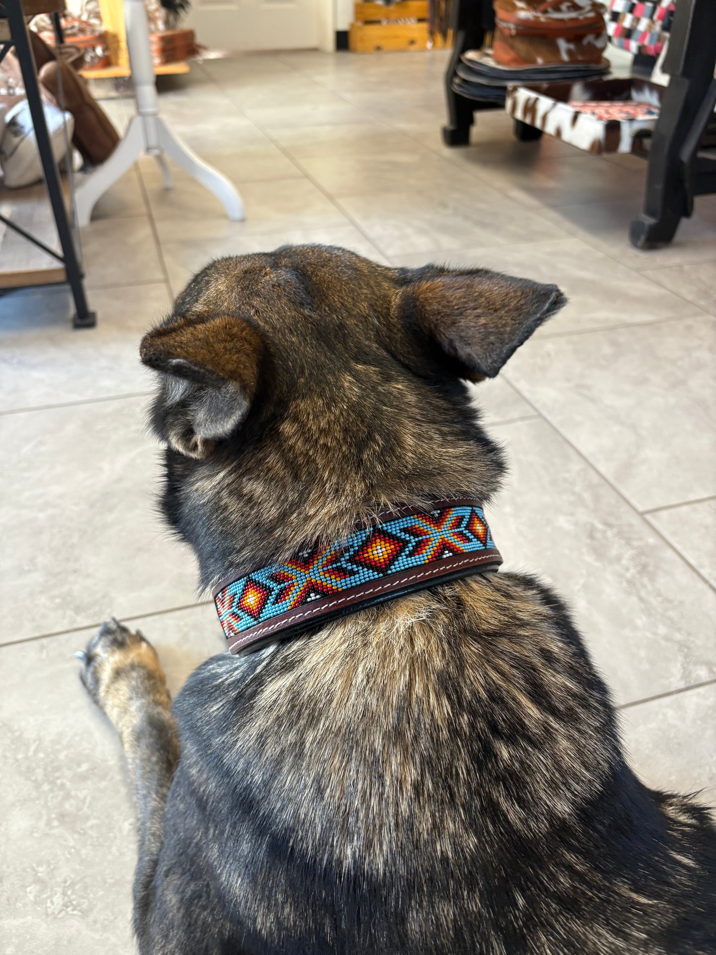 Milo Dog Collar
