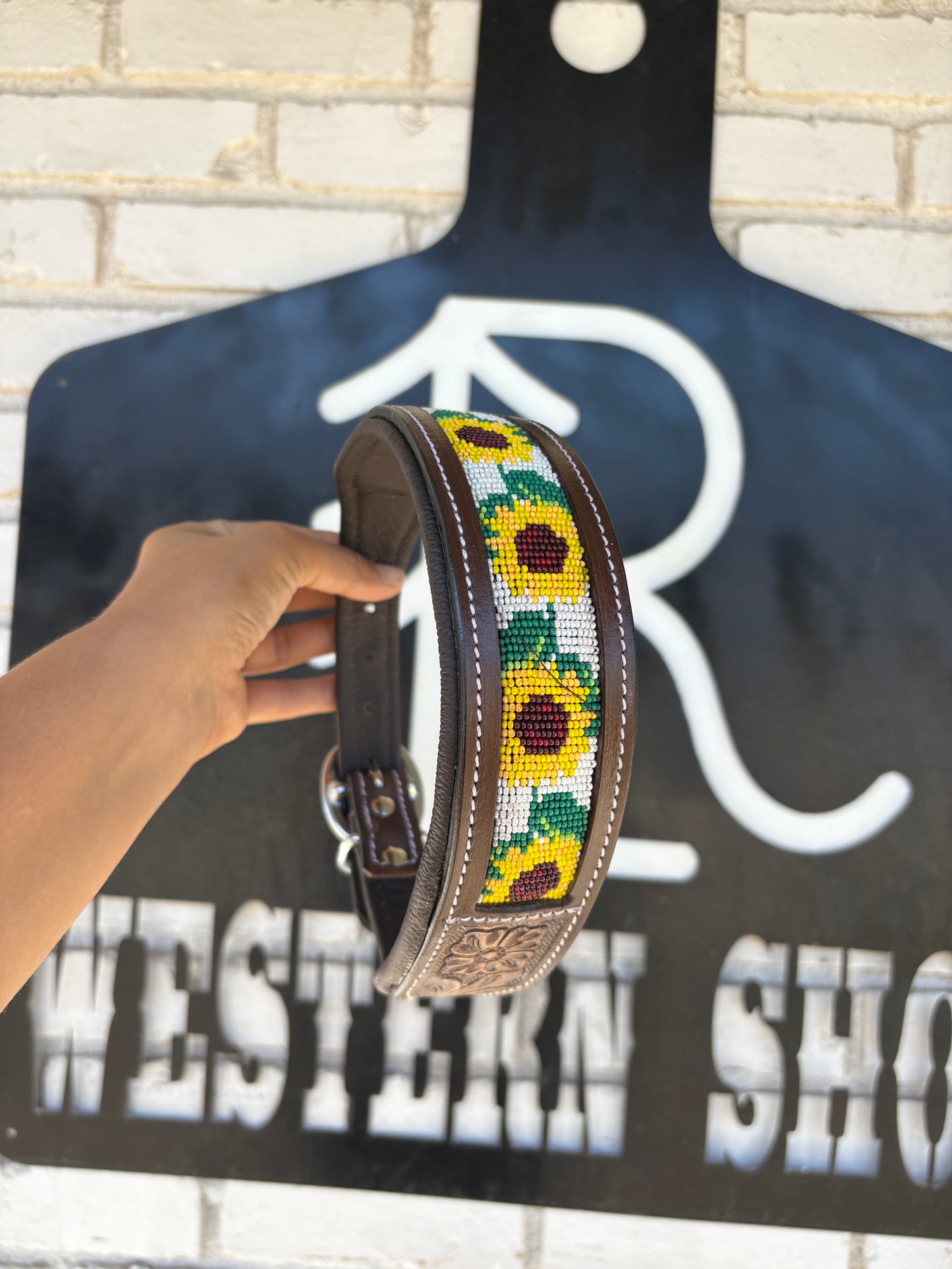 Sunflower 🌻 Dog Collar