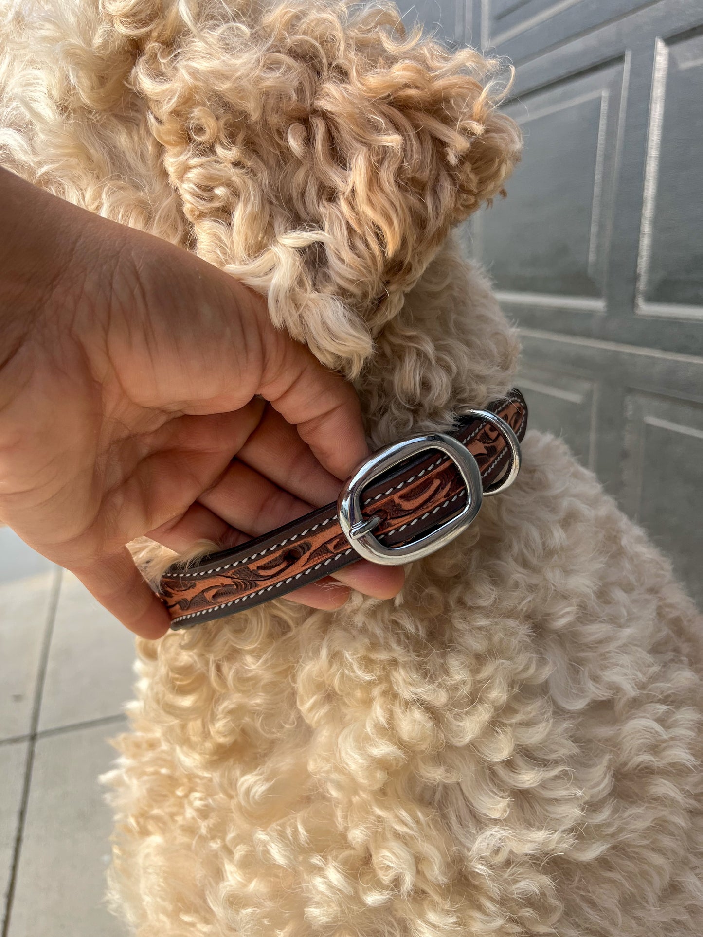 Aqua Beaded Dog Collar