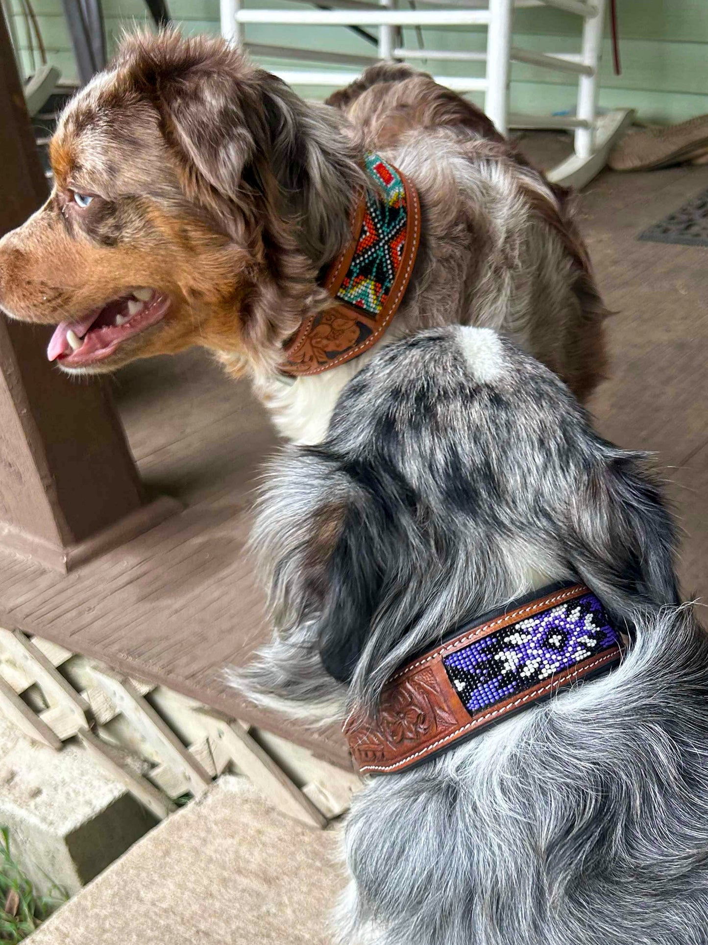 Plum Beaded + Padded Leather Dog Collar