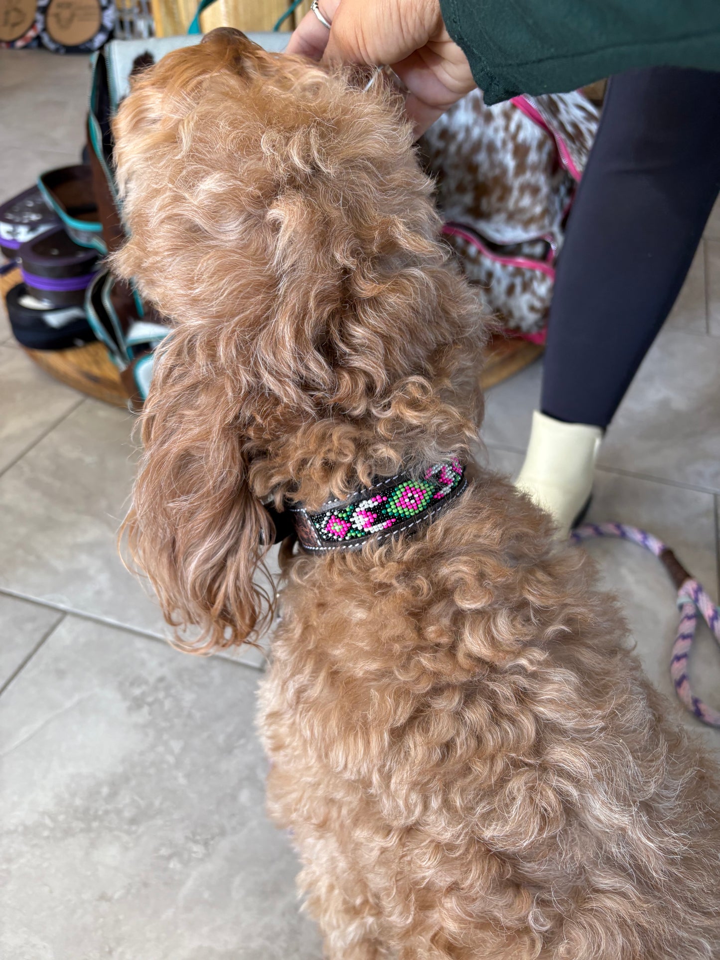 Watermelon Sugar Beaded Dog Collar