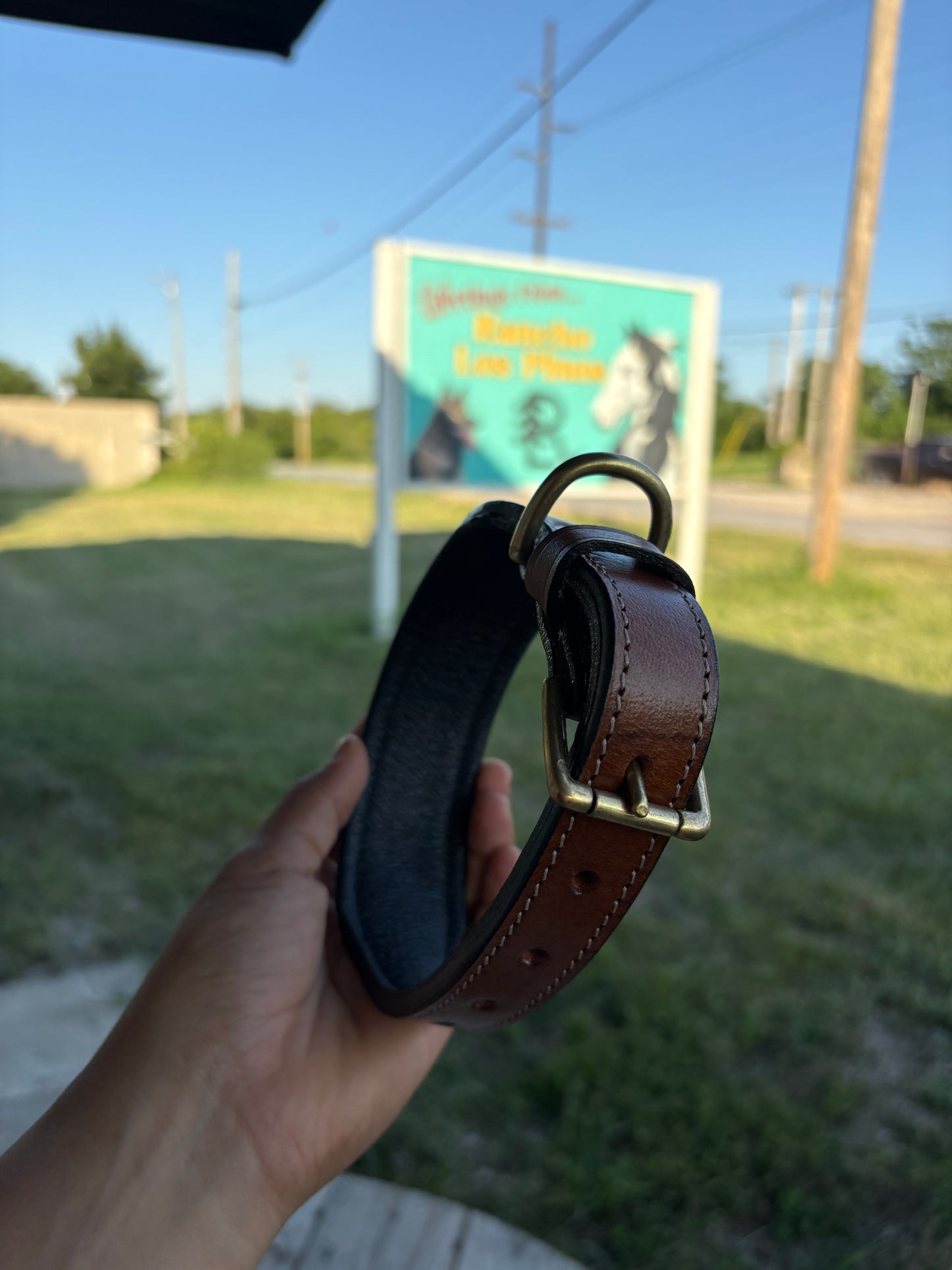 Turquoise Agave Dog Collar- Medium