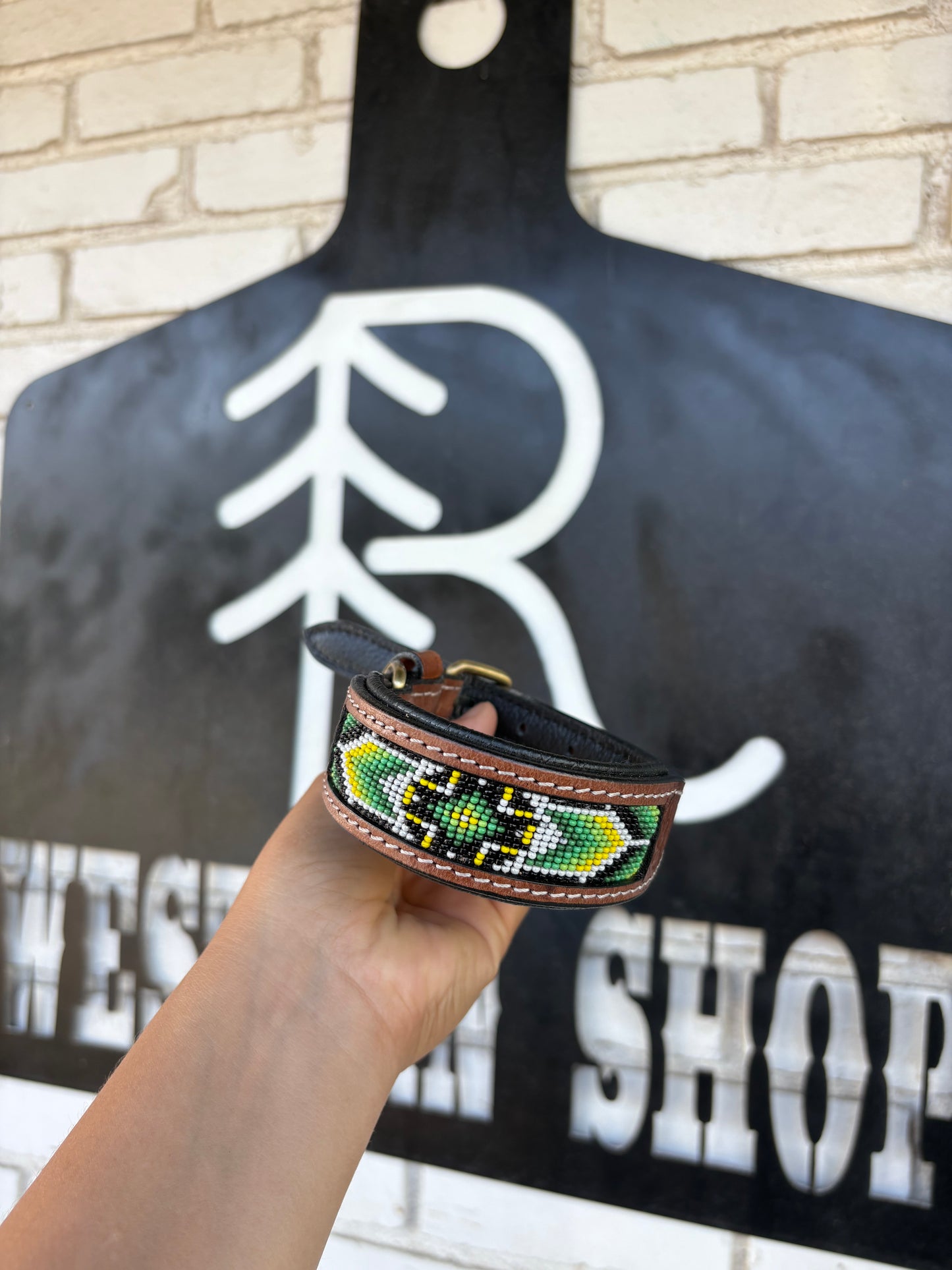 Hulk Dog Collar- Small