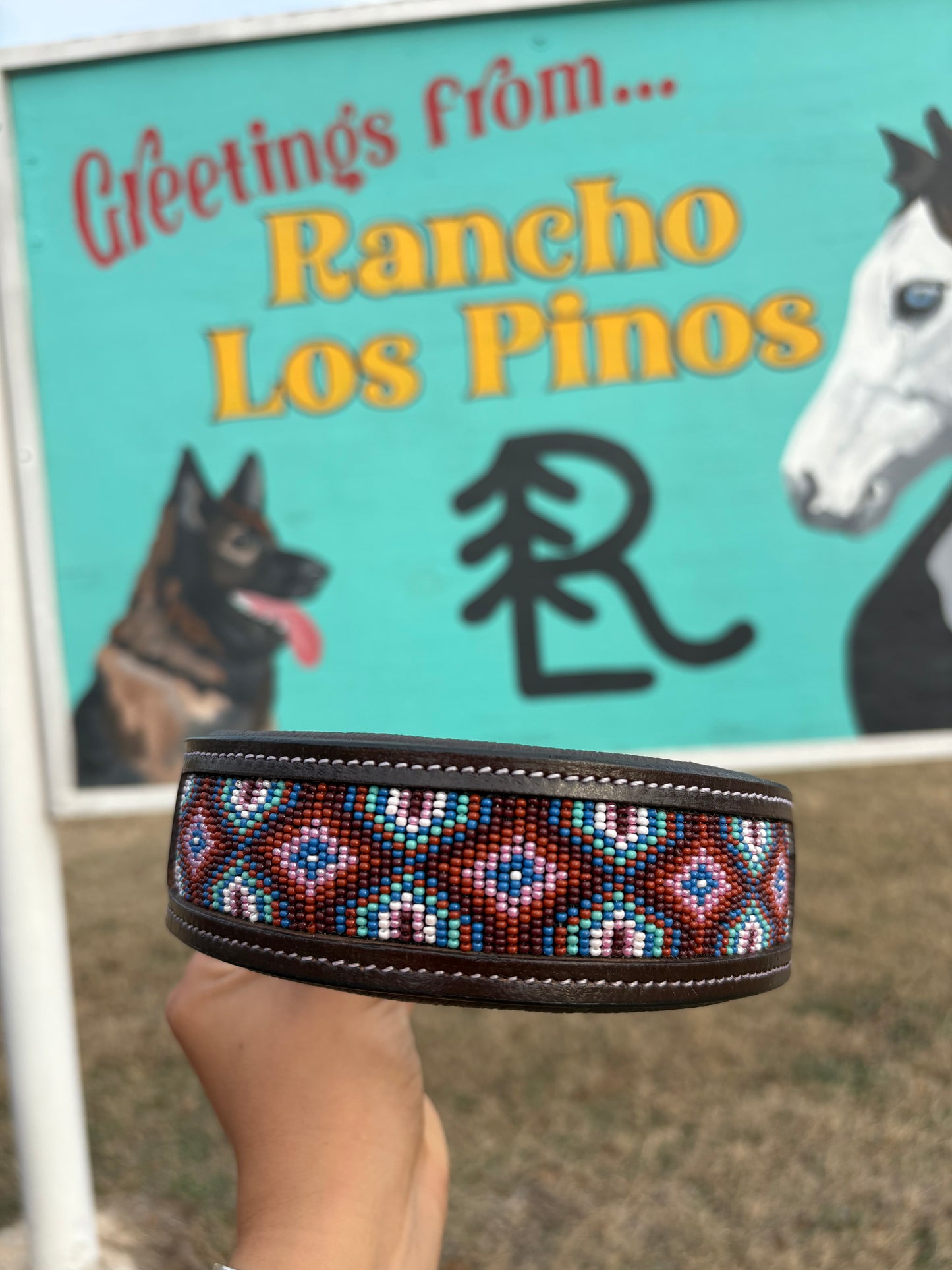 Chota Dog Collar