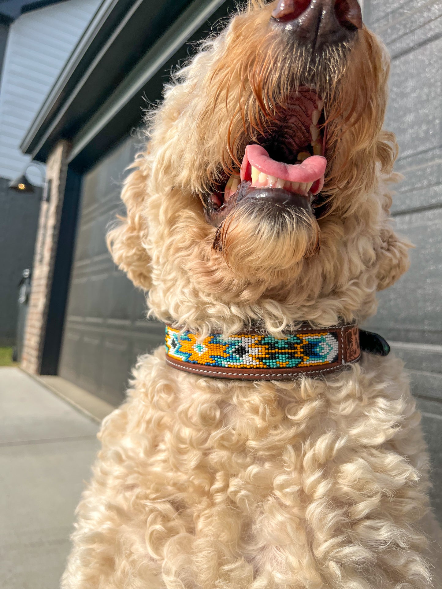 Yellow Jacket Beaded Dog collar