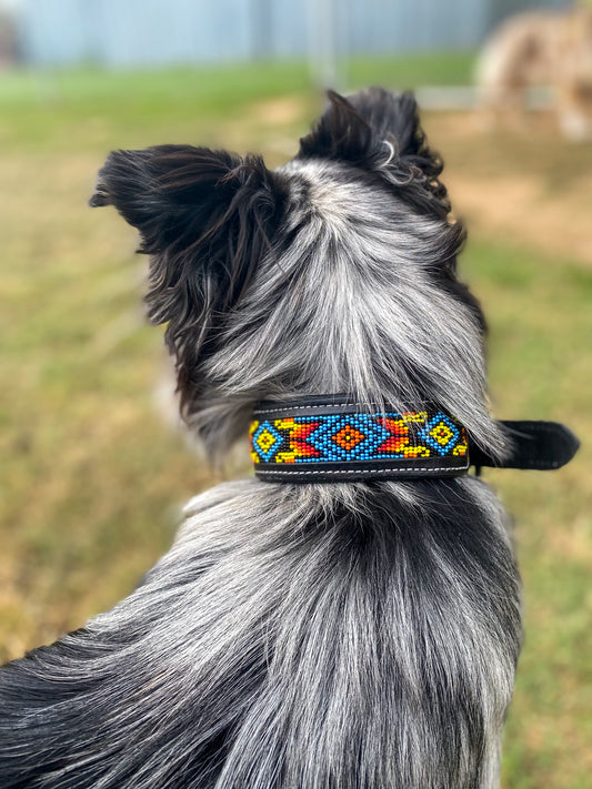 Apache Beaded Dog Collar