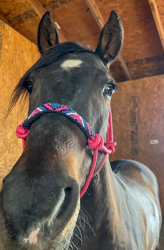 Pink Beaded Rope Halter