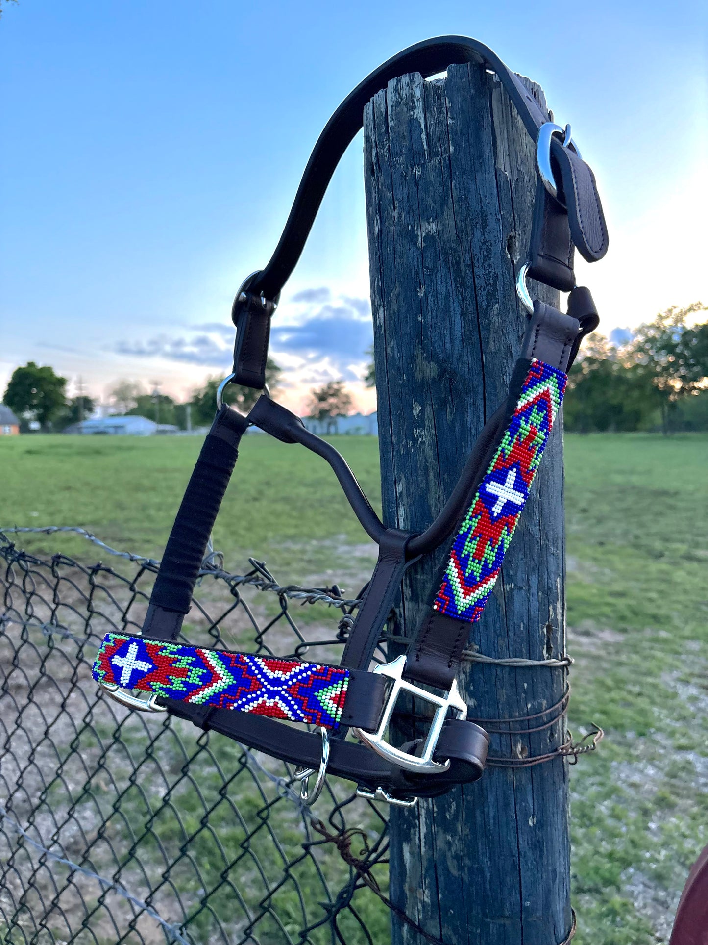 Beaded Leather Halter