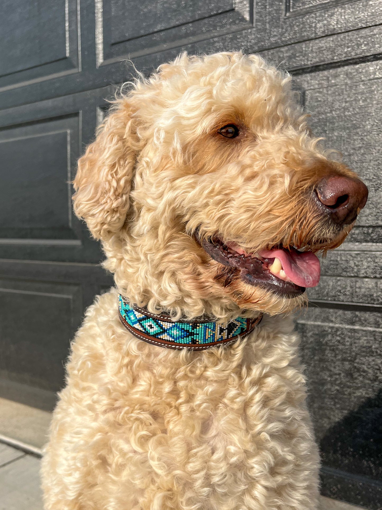 Aqua Beaded Dog Collar