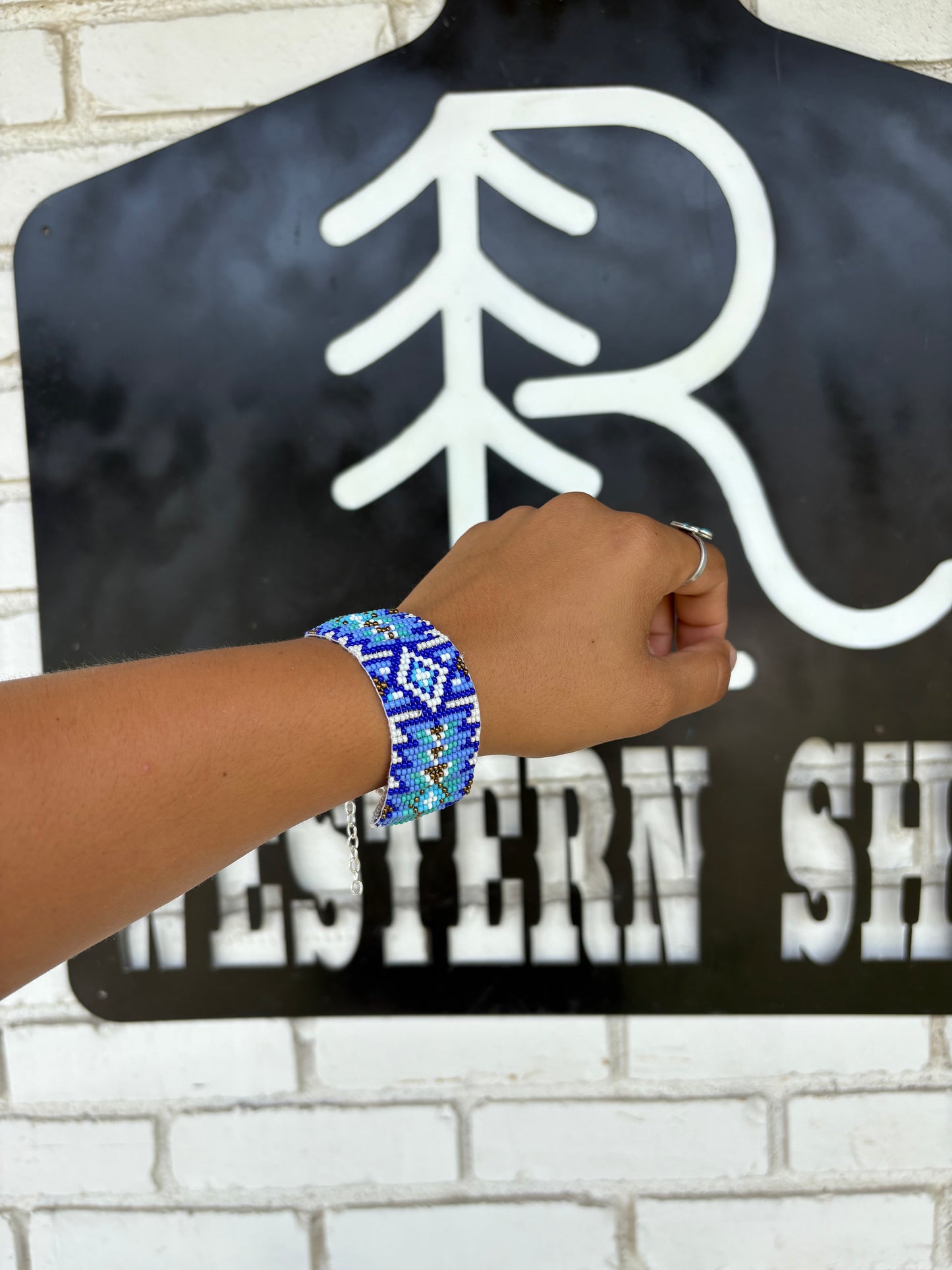 Blue & White Feather Beaded SET