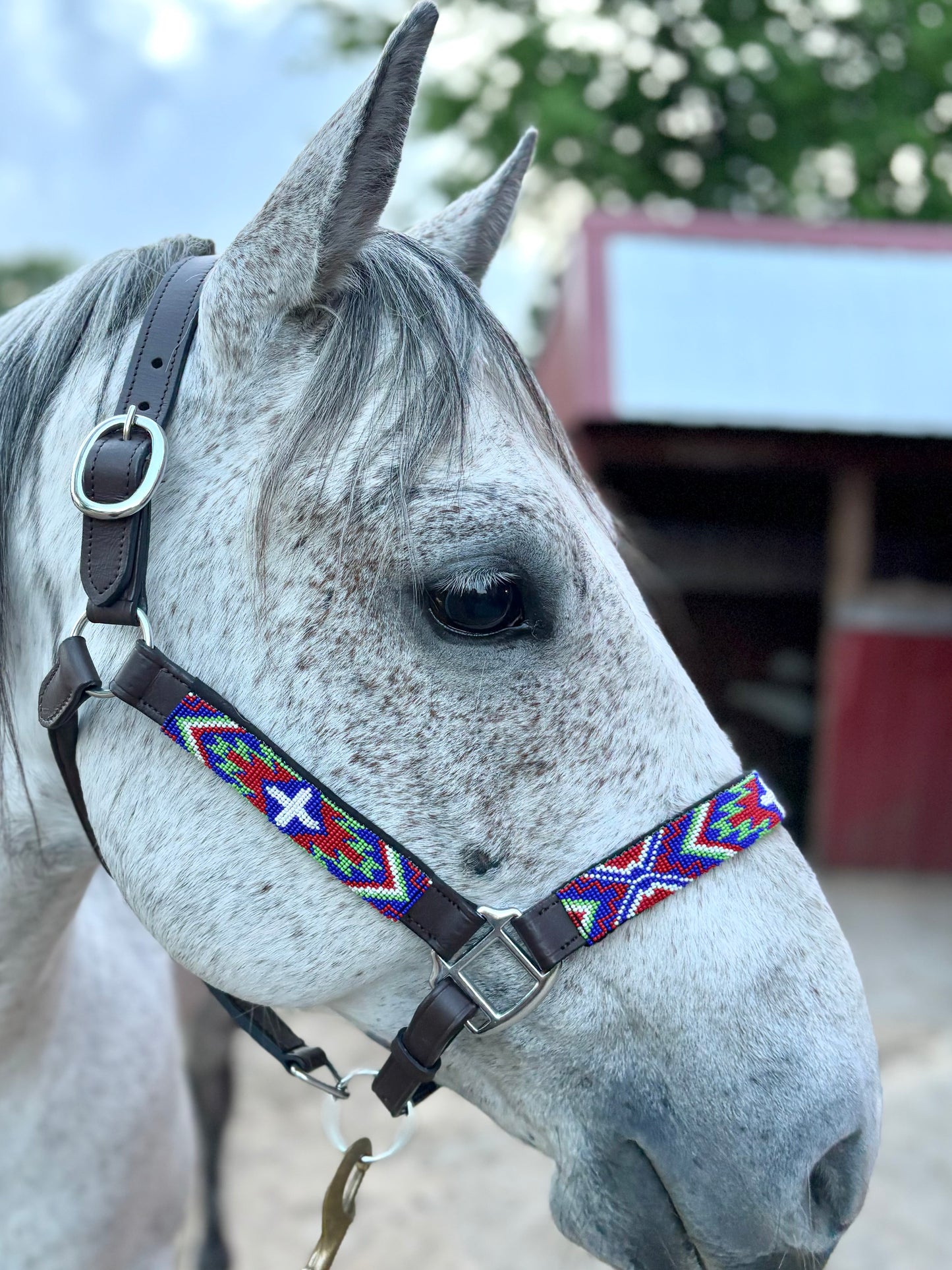 Beaded Leather Halter